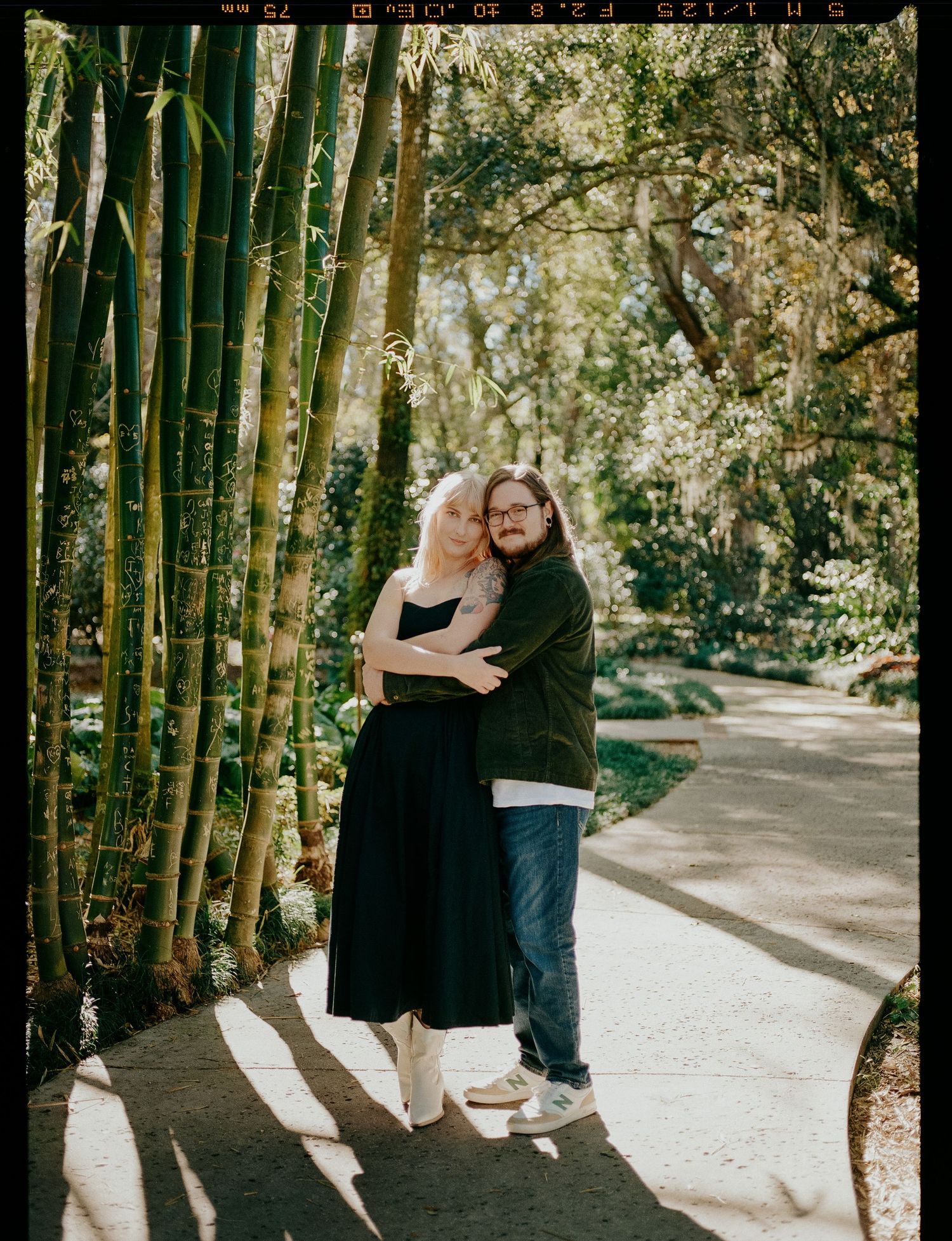 A couple embraces on a sunlit pathway lined with tall bamboo trees in a peaceful garden setting.