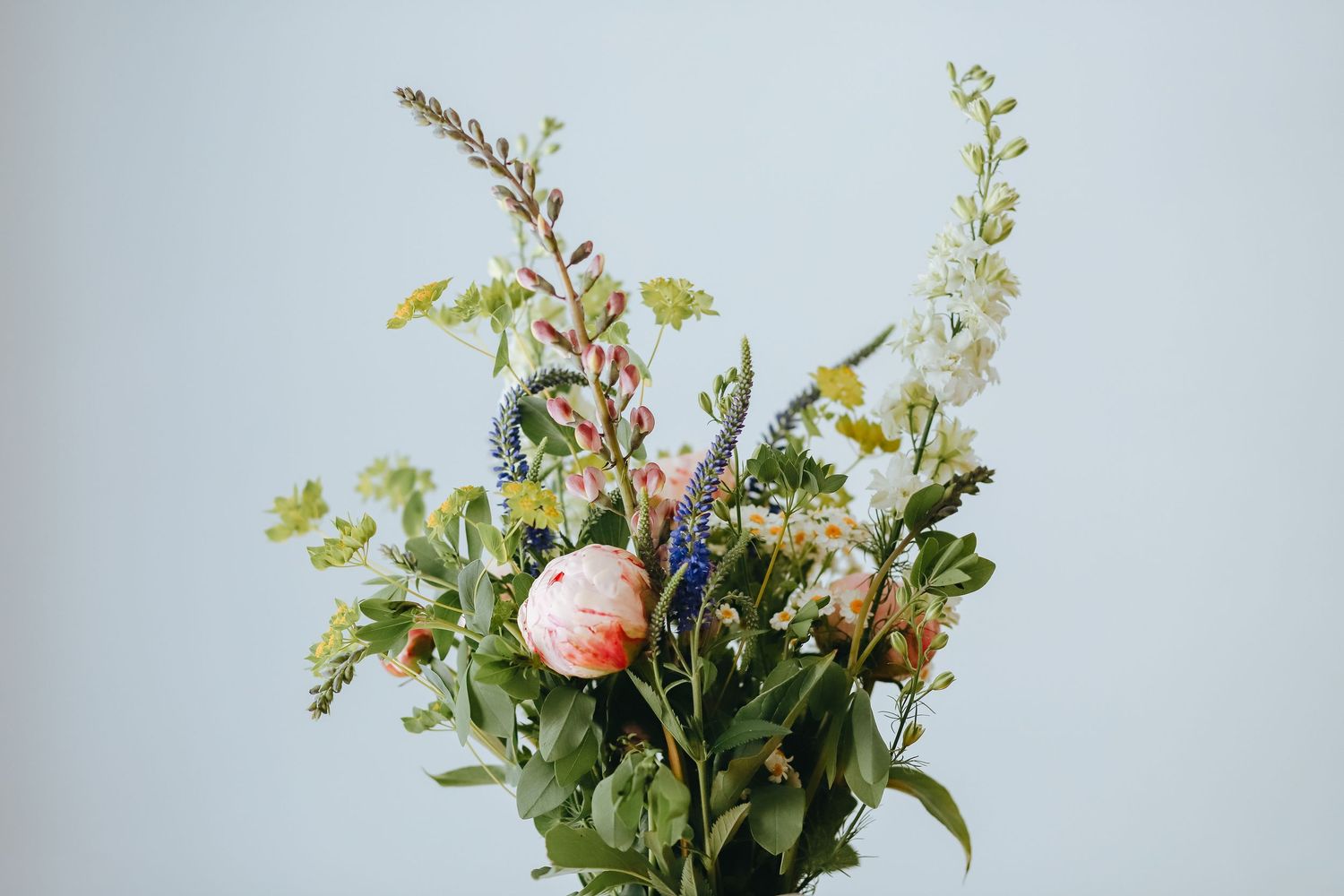 A vibrant bouquet of mixed wildflowers including pink roses, blue delphiniums, and white snapdragons against a soft blue background.