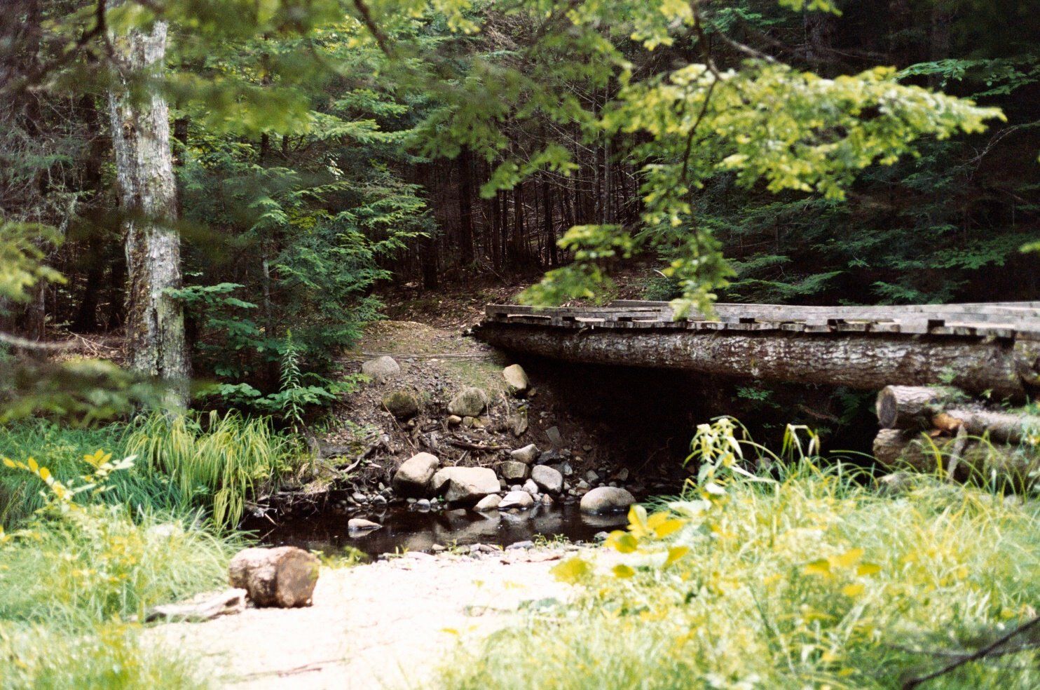 A rustic wooden bridge over a rocky stream surrounded by lush green forest trees and wildflowers.