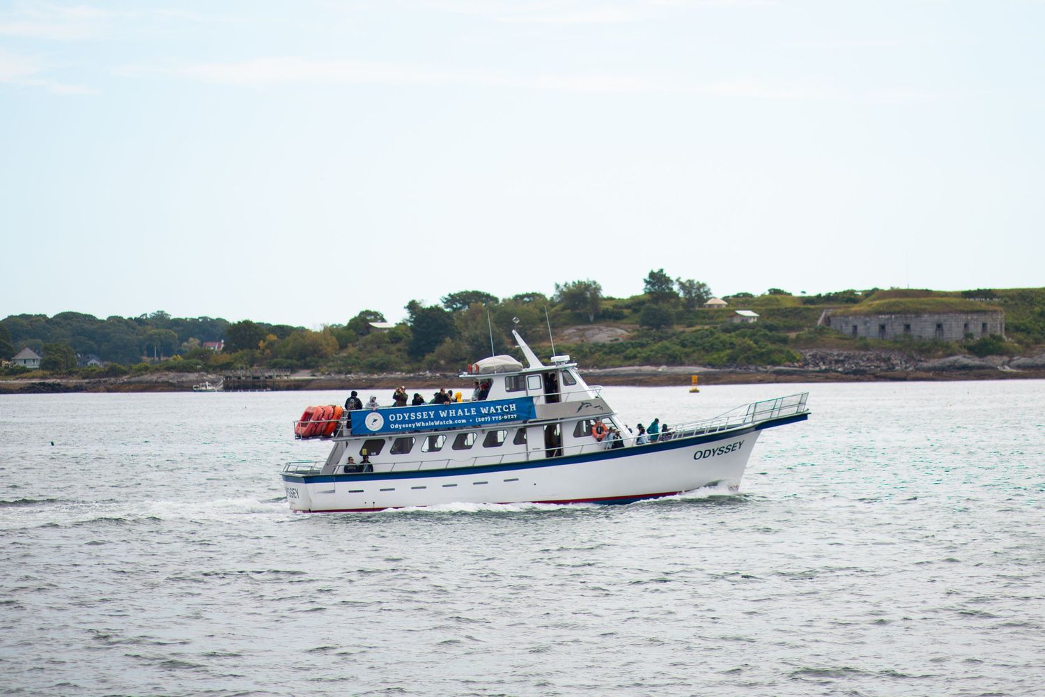 White passenger ferry boat cruising blue harbor waters near green coastal shoreline.