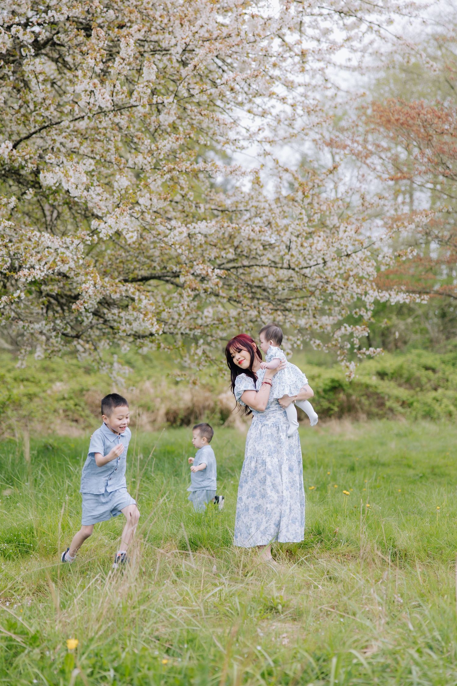 Mother holding baby while two young boys play under a blooming white cherry blossom tree in a meadow during Bay Area family photoshoot.