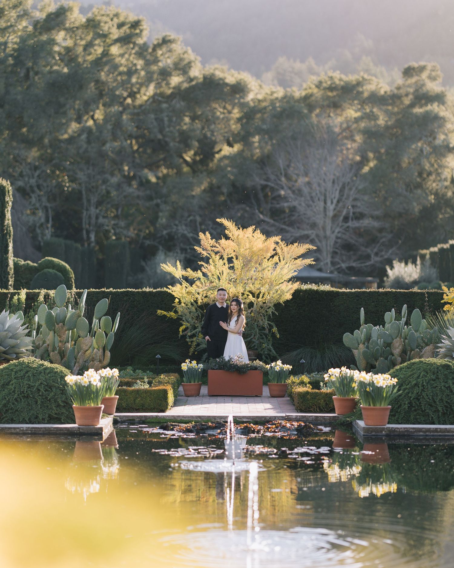 Couple embracing near a lily pond fountain surrounded by potted tulips in a formal garden during Filoli engagement photoshoot.