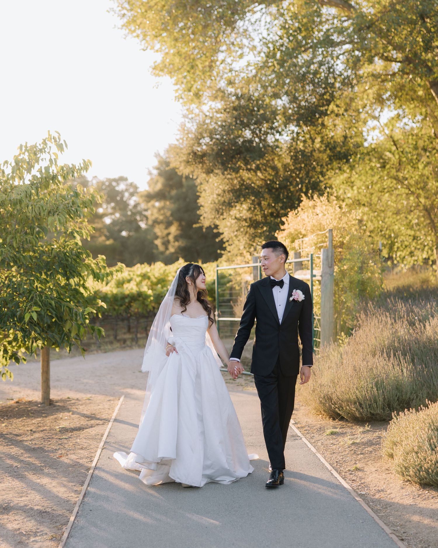 Bride and groom walk hand in hand along sunlit garden path surrounded by lavender and trees.