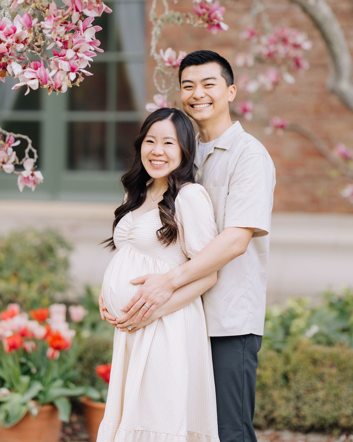 Expecting couple embracing under blooming pink magnolia tree with colorful tulips in the background at Filoli Woodside maternity photoshoot.