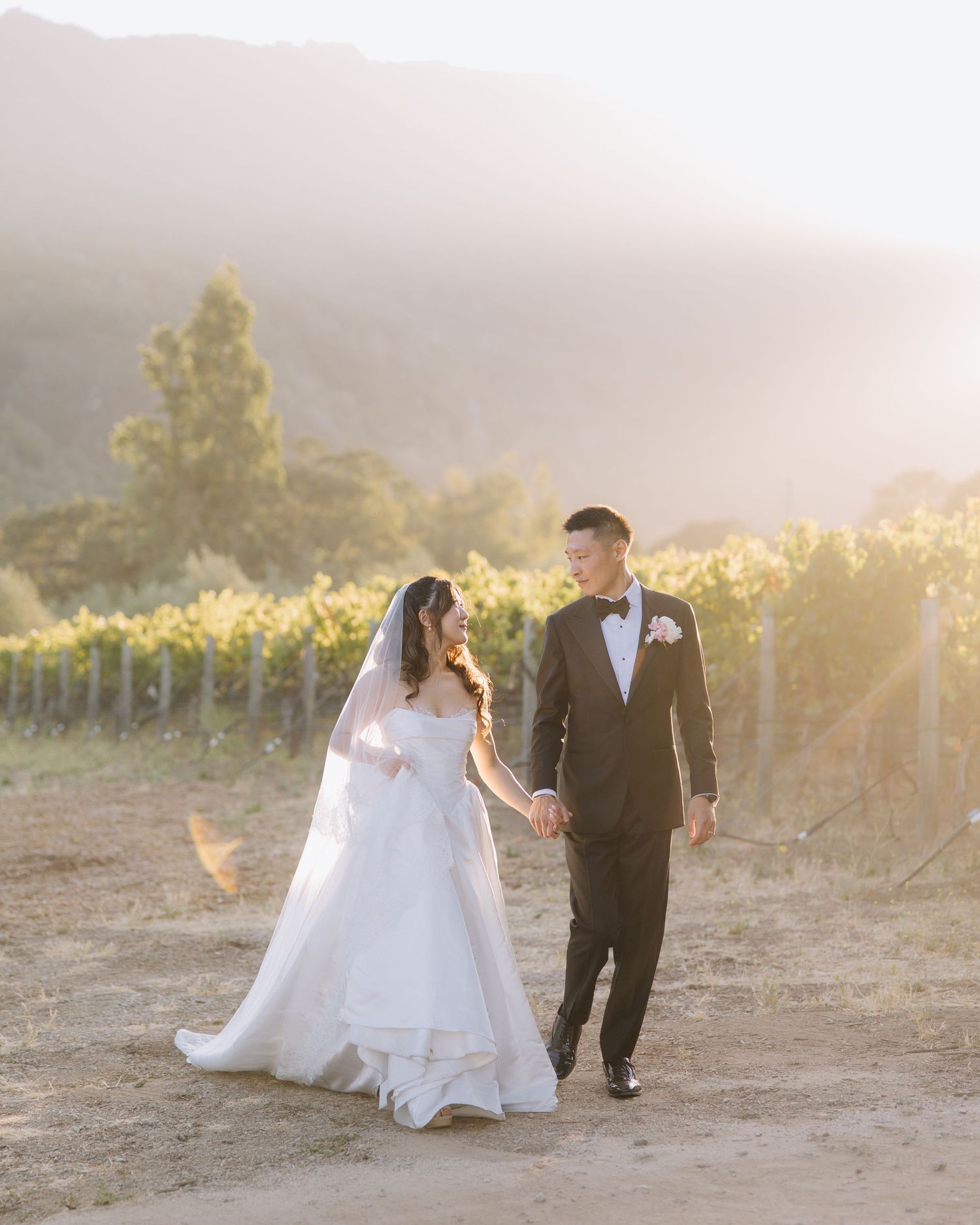 Newlyweds walking through a golden vineyard at sunset, bride in a flowing white gown with long veil at Bernardus Lodge vineyard wedding.