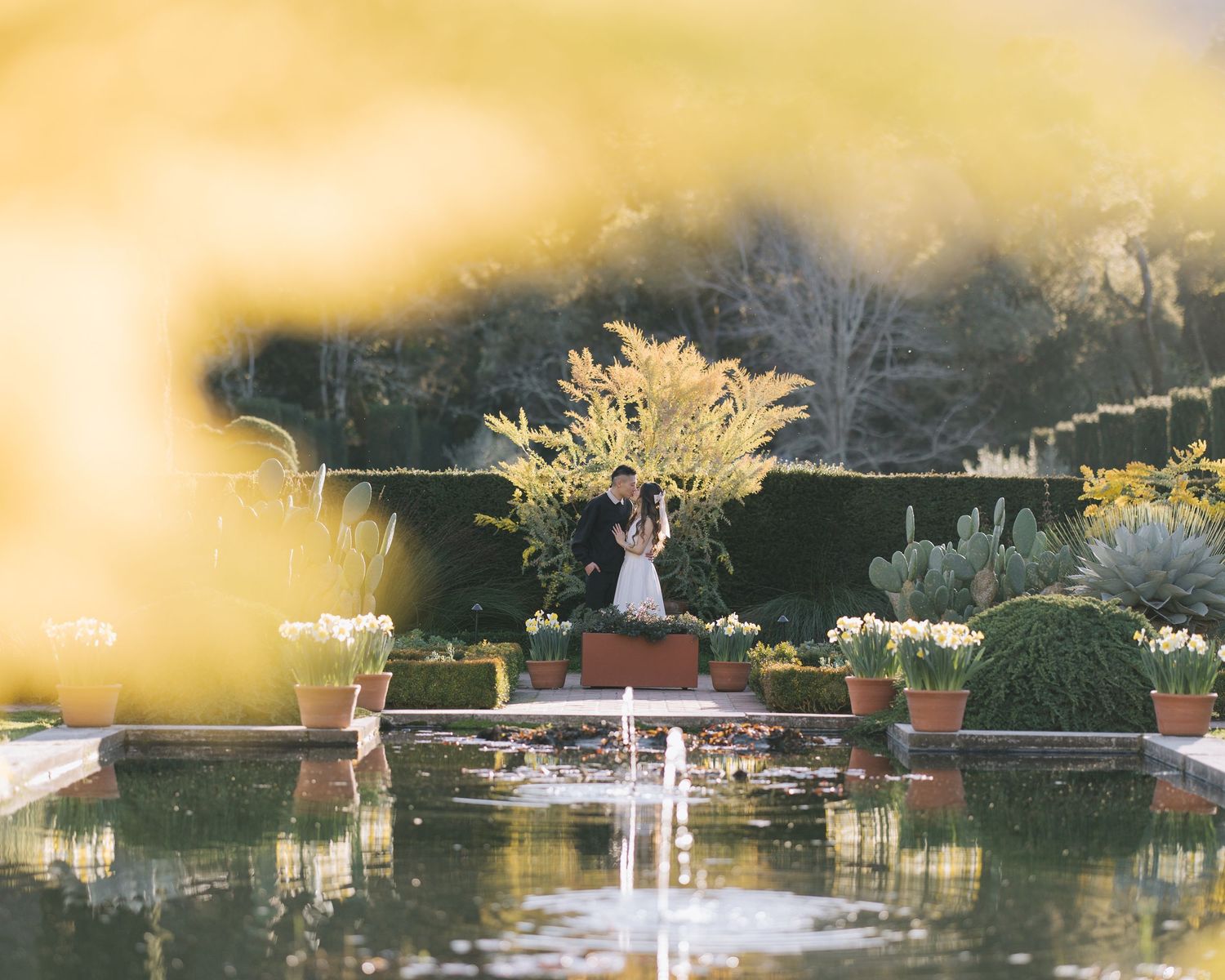Romantic couple kissing near a garden fountain surrounded by lush greenery and flowers during Filoli engagement photoshoot.