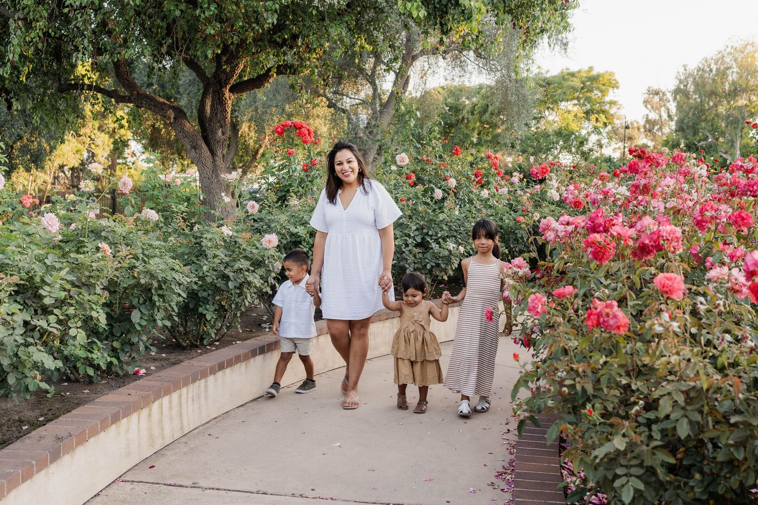 Breyman photography family milspouse military san diego outdoor mini full warm toddler balboa park rose garden flower sunset motherhood