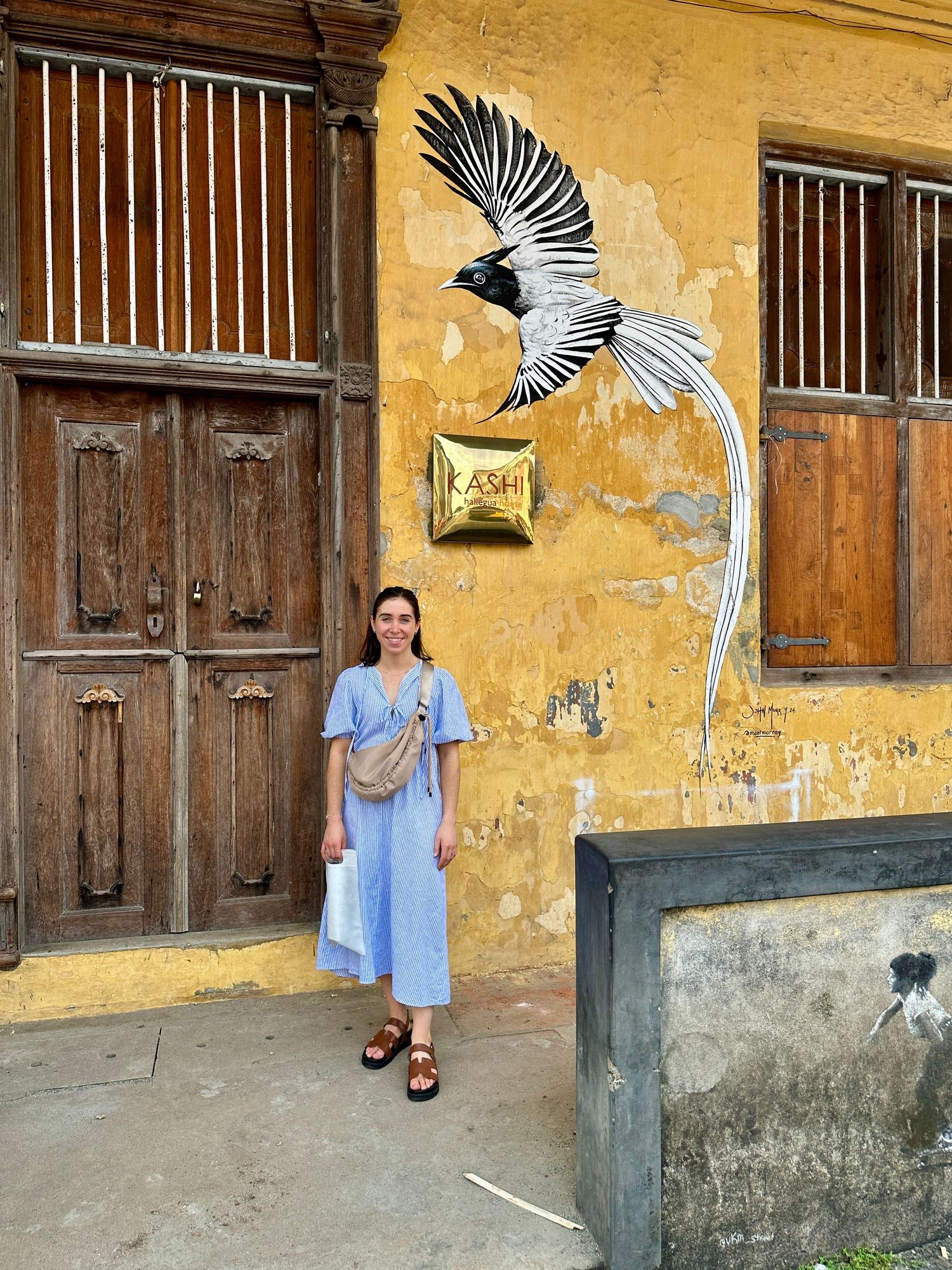 Woman in blue dress posing beside a large bird mural on a yellow wall in Kerala, India on her travels