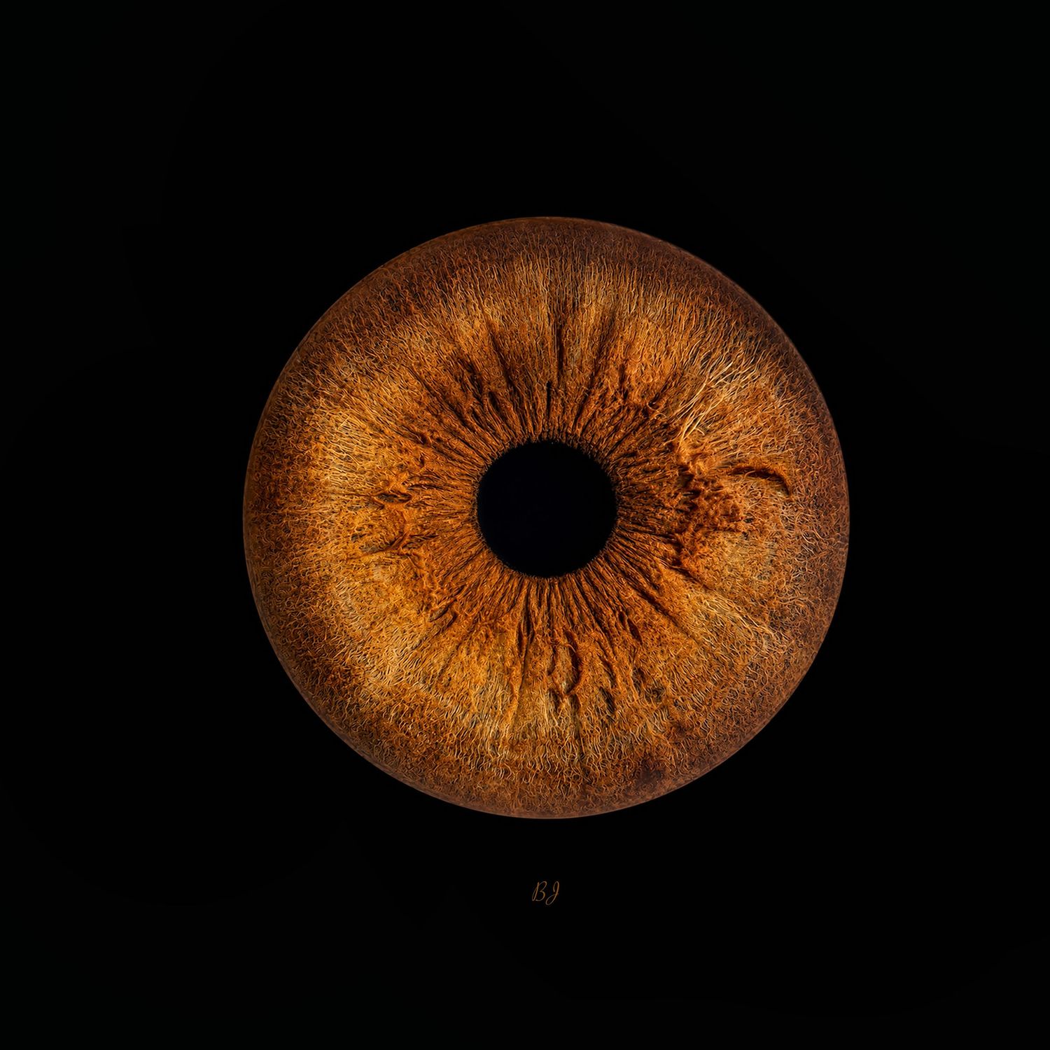 Detailed macro photography of a deep amber brown human iris isolated on a dark black background.