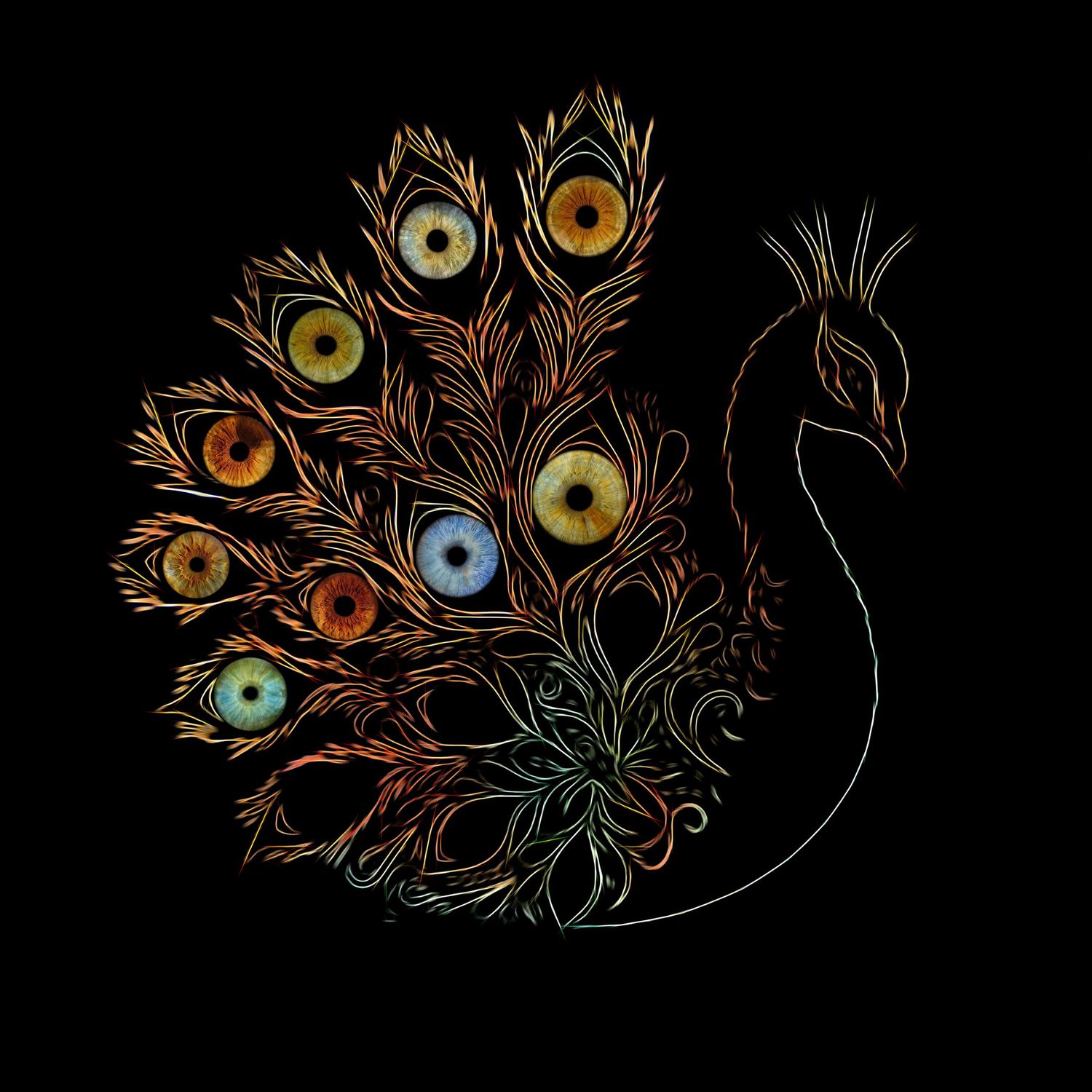 Artistic peacock illustration on black background with colorful human iris eyes as feather details.