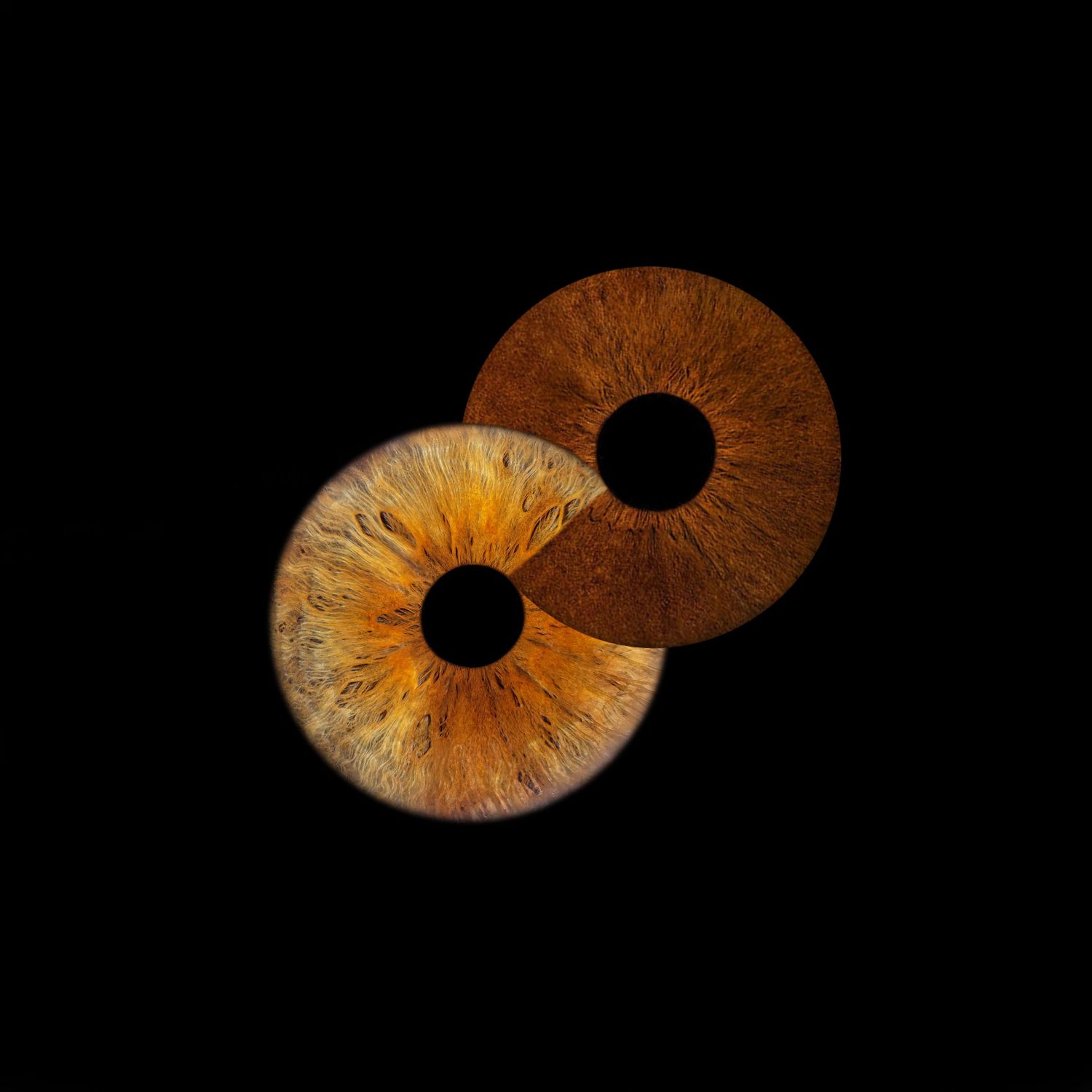 Two overlapping amber human eye irises creating an infinity-like composition on a stark black background.
