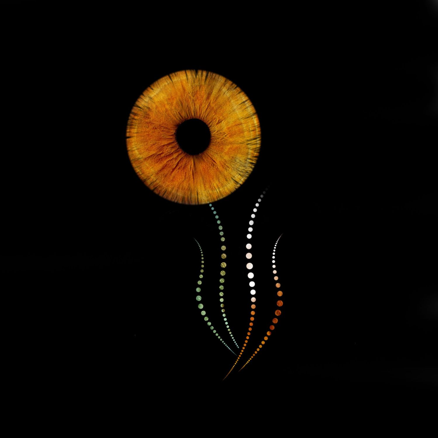 Macro orange human iris transformed into abstract flower art on black background.