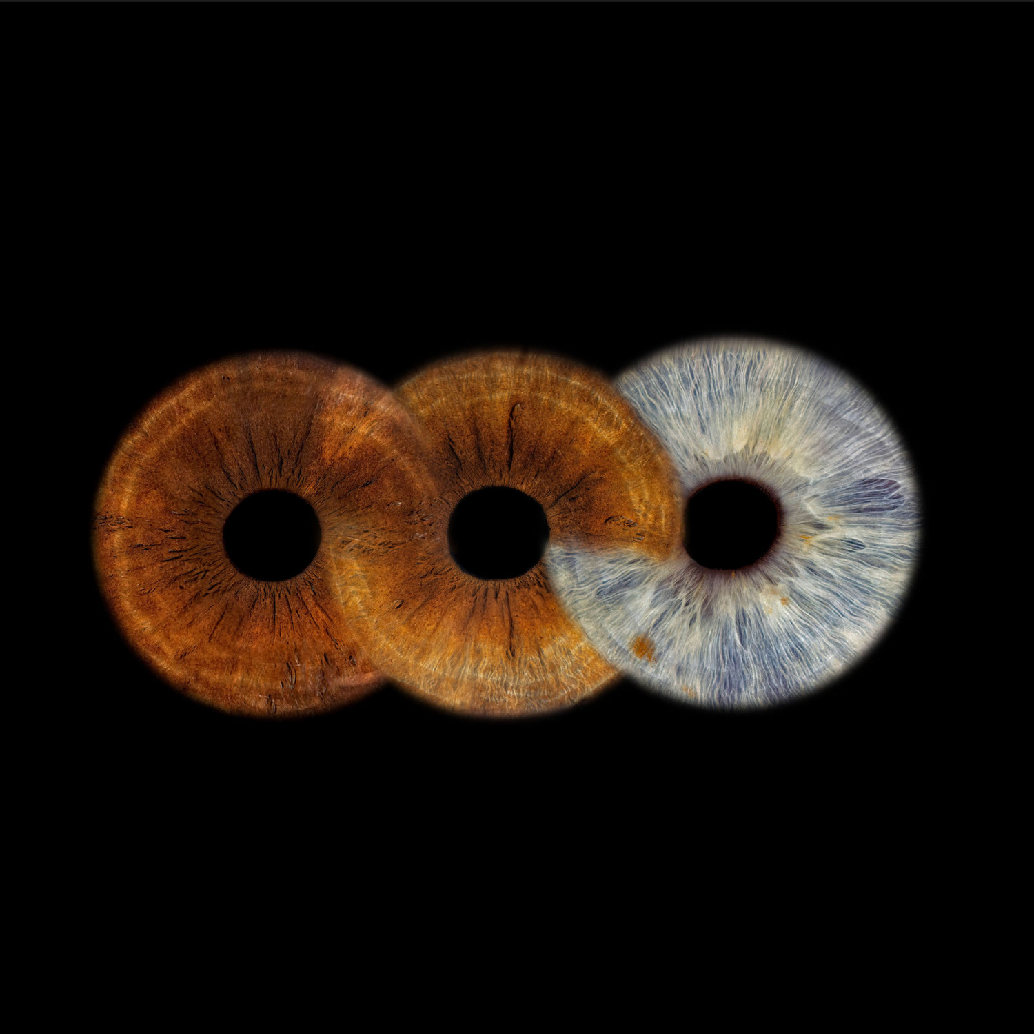 Three overlapping human iris macro photographs showing brown and blue eye colors on black background.