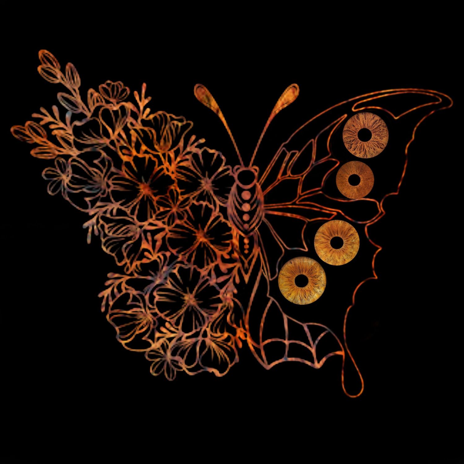 Artistic butterfly illustration combining orange floral patterns and human iris eyes on black.