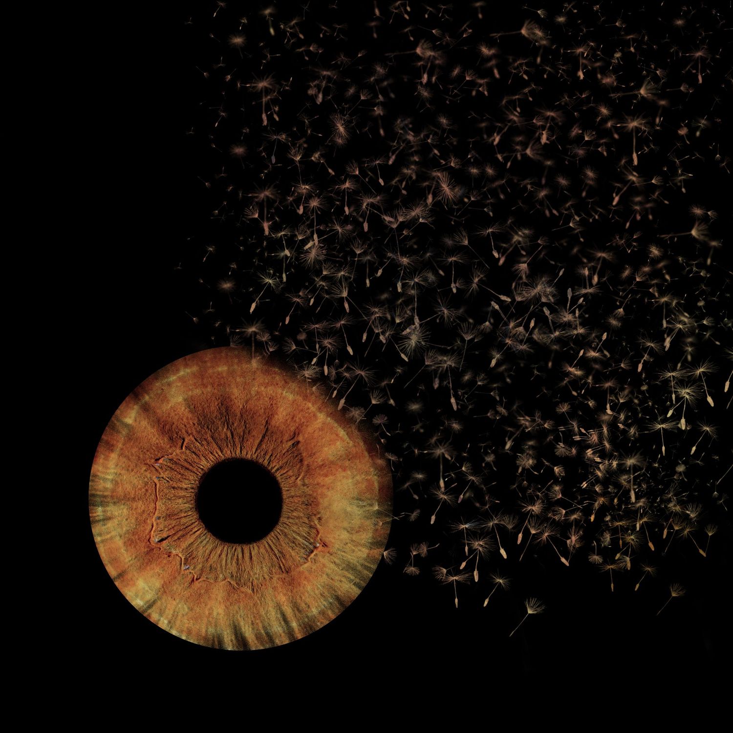 A golden-brown human eye with a swarm of dark particles dispersing into the black background.