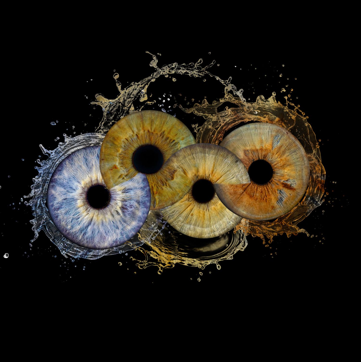 Unique corporate event experience featuring professional iris photography