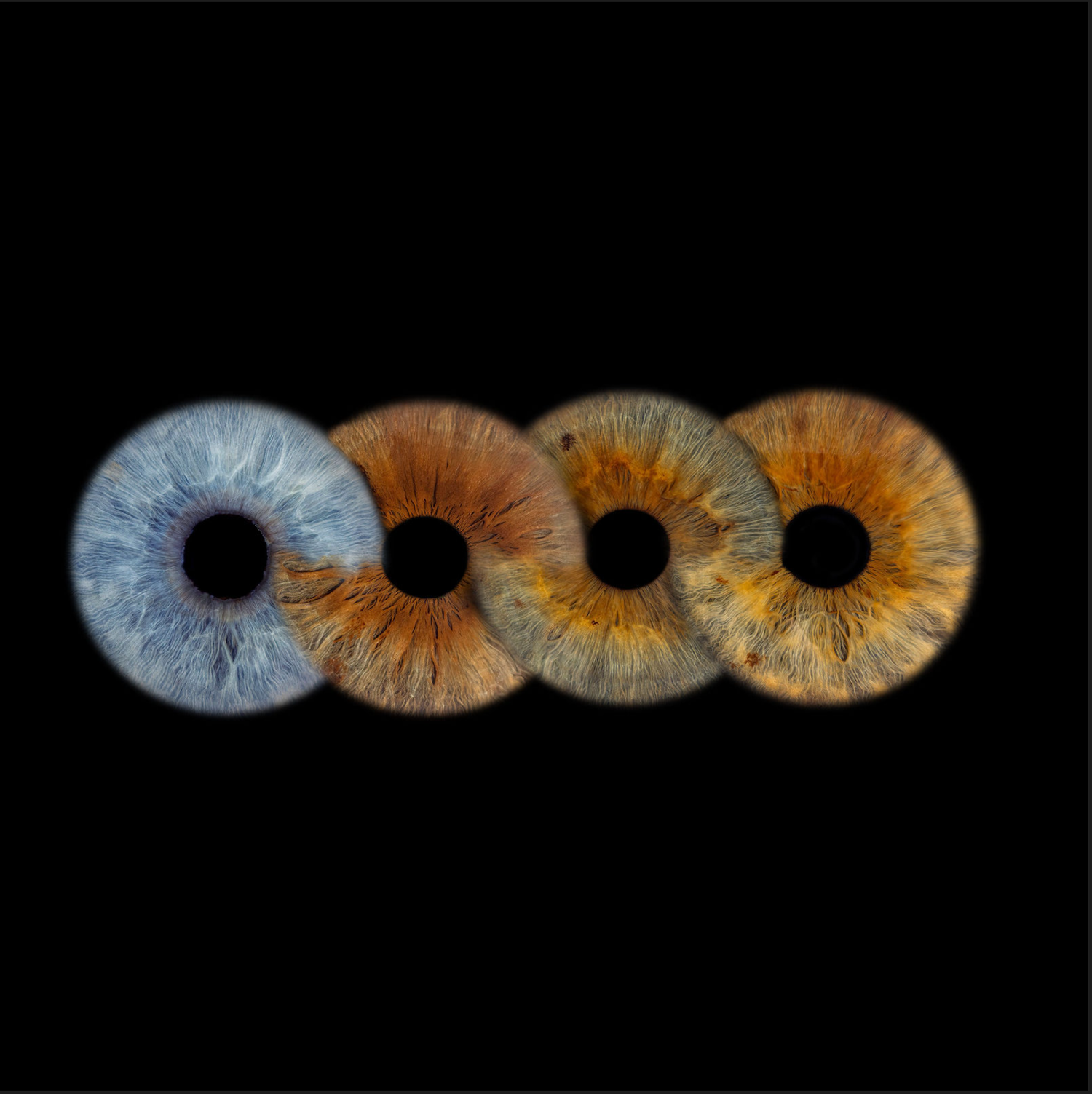 Four overlapping human iris macro photographs showing blue and brown eye color variations on black background.
