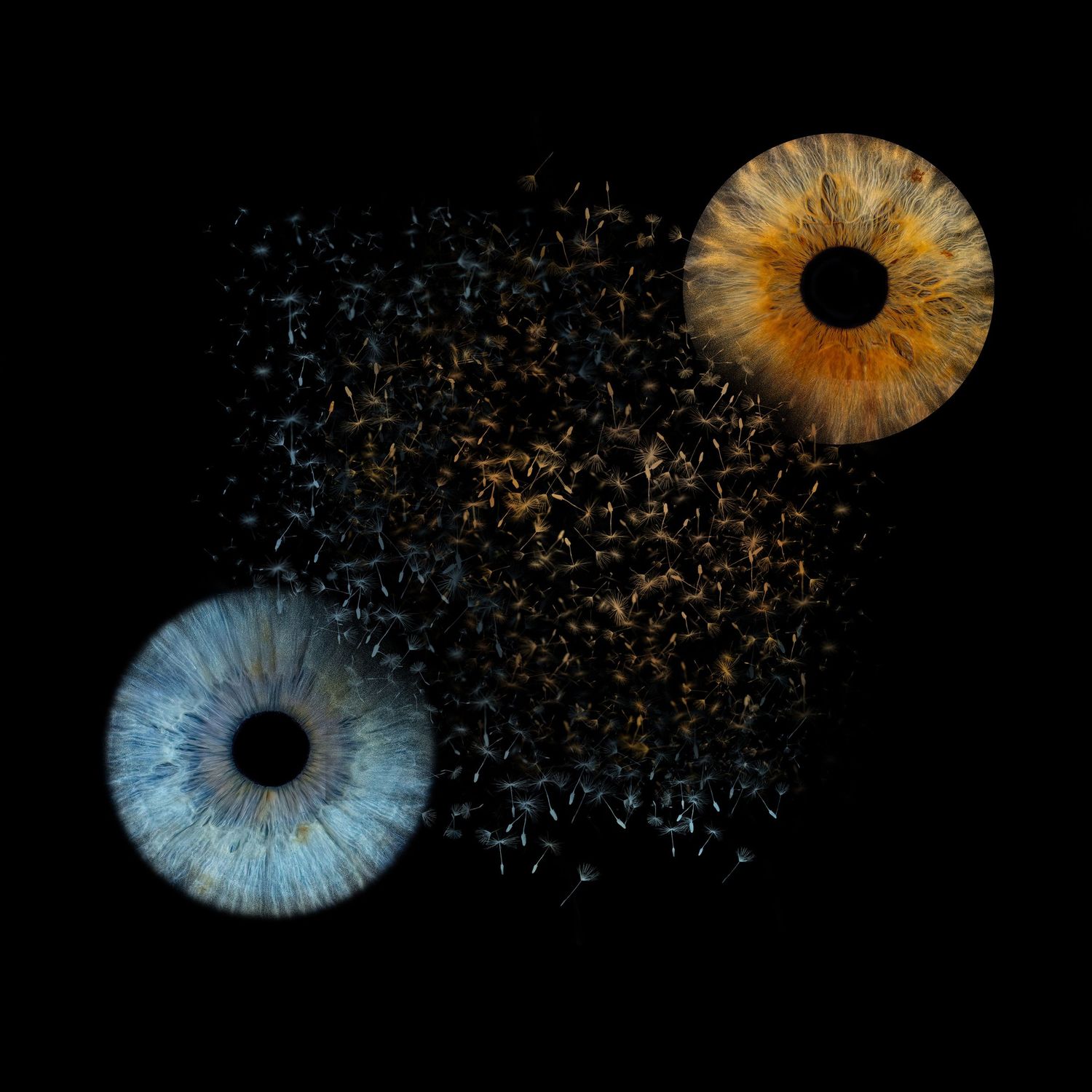 Two macro human eyes, one blue and one amber, surrounded by scattered particles on a dark black background.
