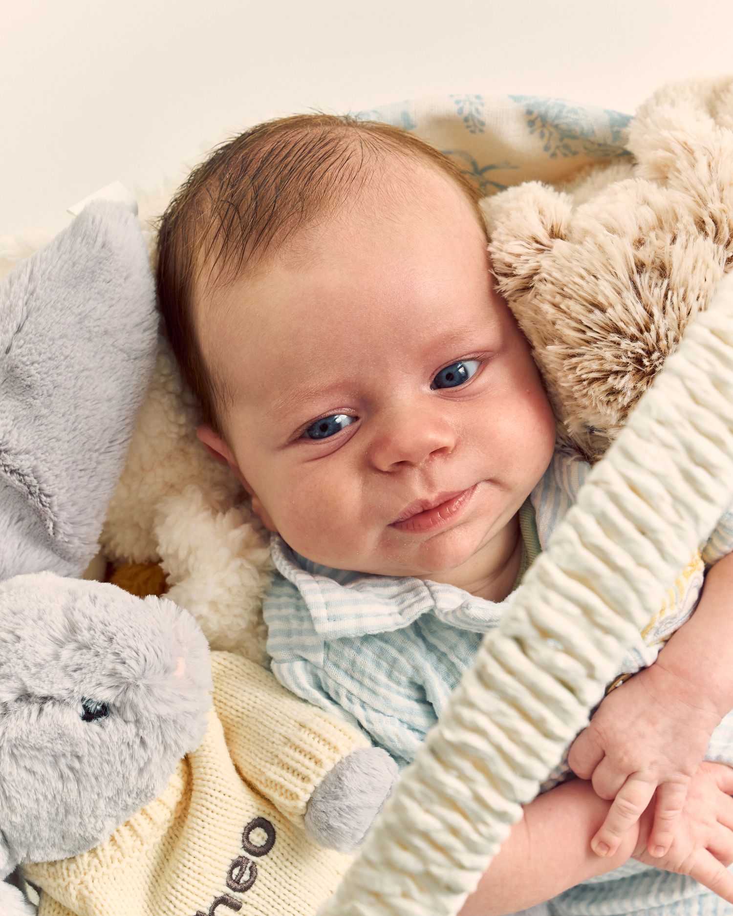 Newborn photography with studio backdrop in NYC.