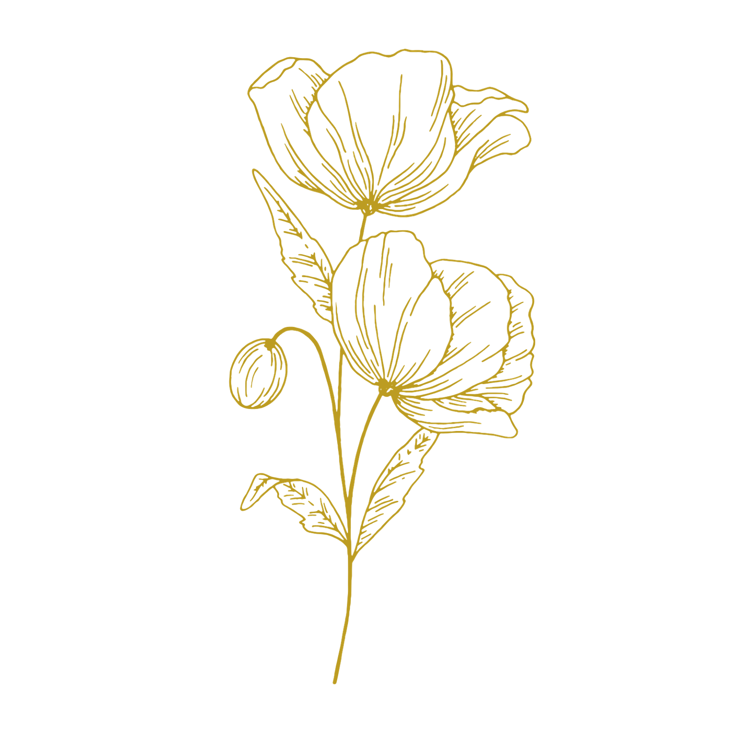 Delicate gold line drawings of wildflowers and botanical elements arranged in a decorative pattern.