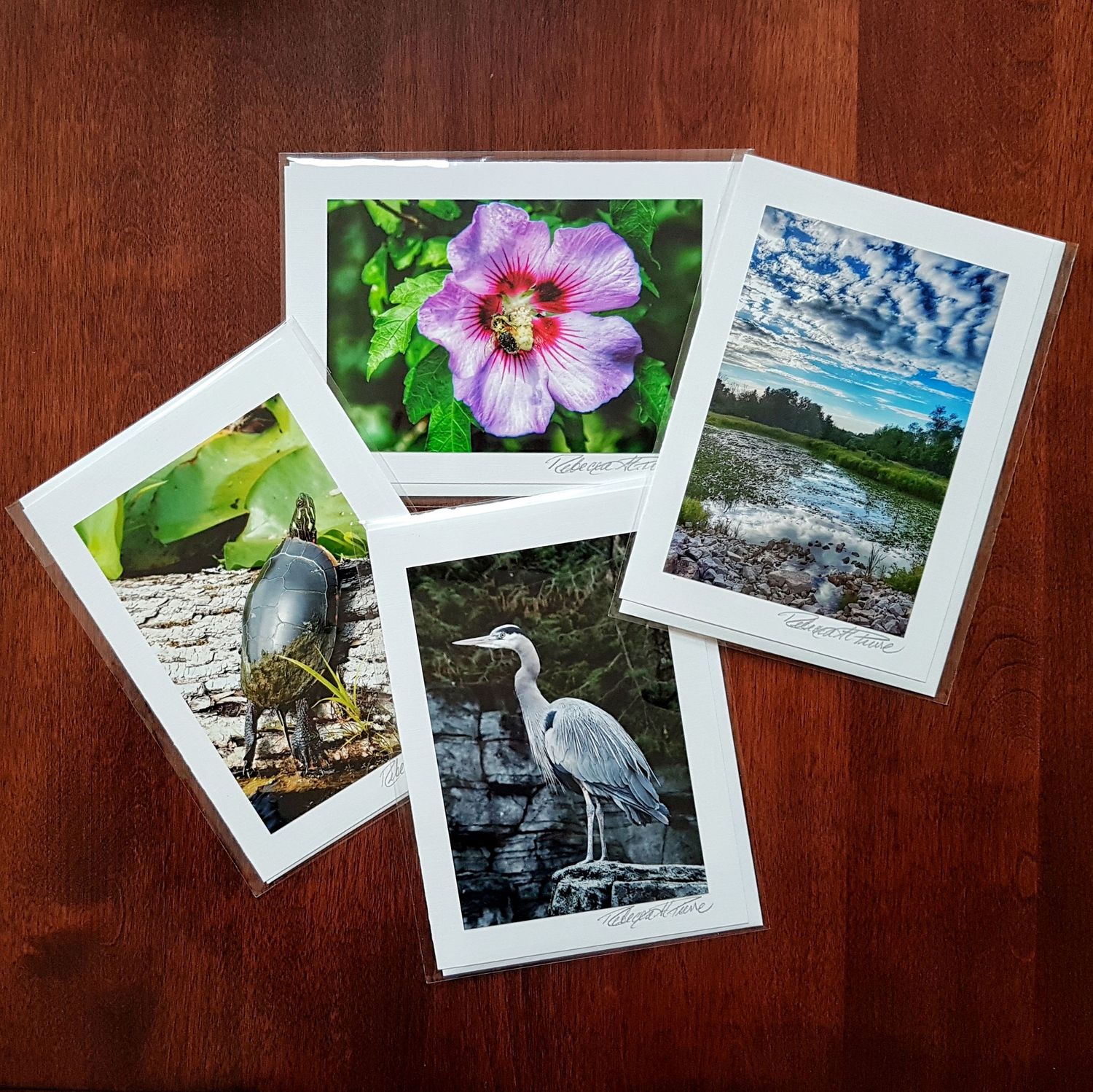 Photo of four photography art cards showing pictures of a turtle on a log, a pink hibiscus, a summer landscape and a Great Blue Heron.