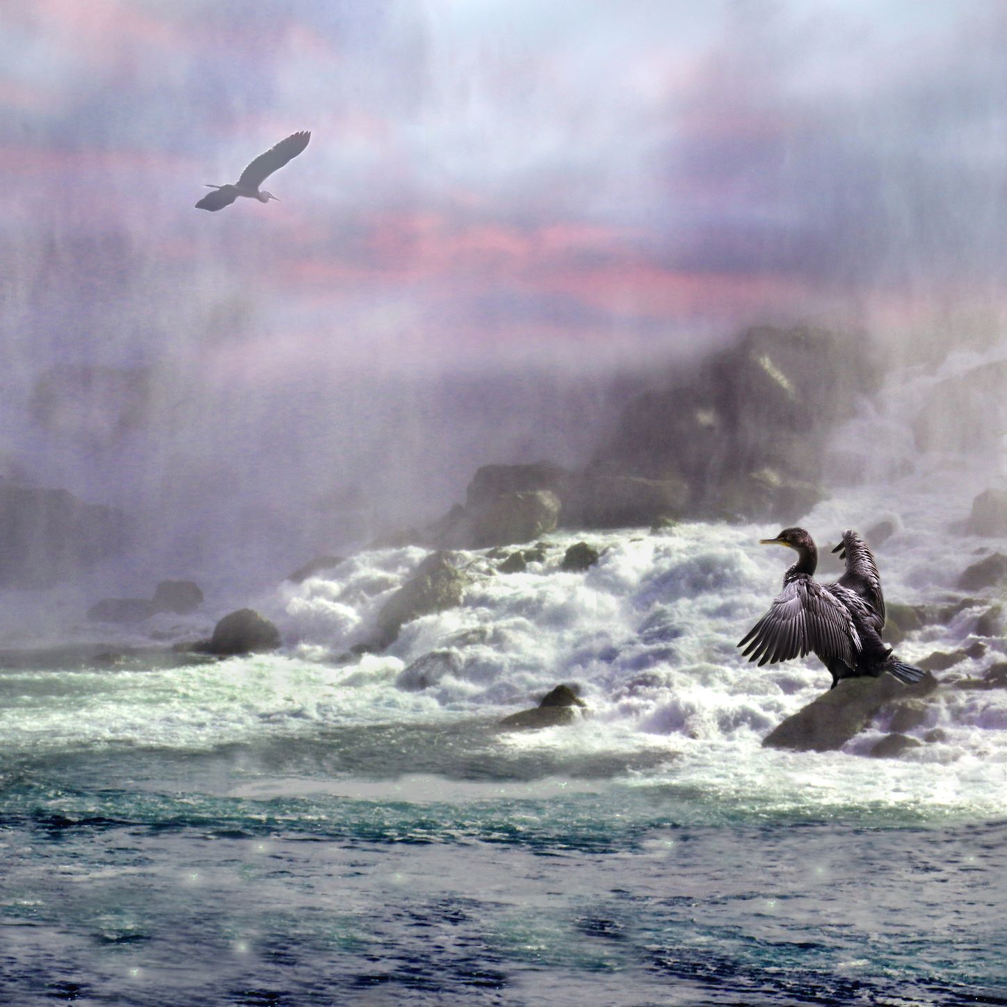 An image of a Great Blue Heron flying across a purple/pink sky above a waterfall and a Double-crested Cormorant with outstretched wings.