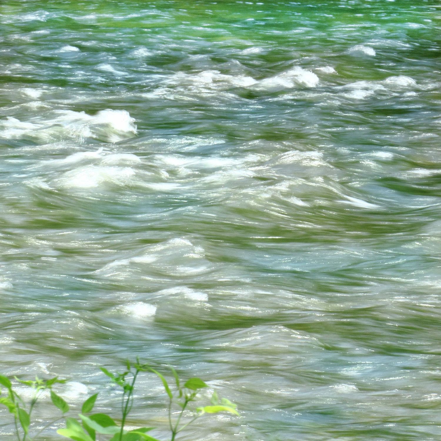A slow shutter speed photo of a river with white-crested waves and blue, gray, and teal coloured water and a small plant in the foreground.