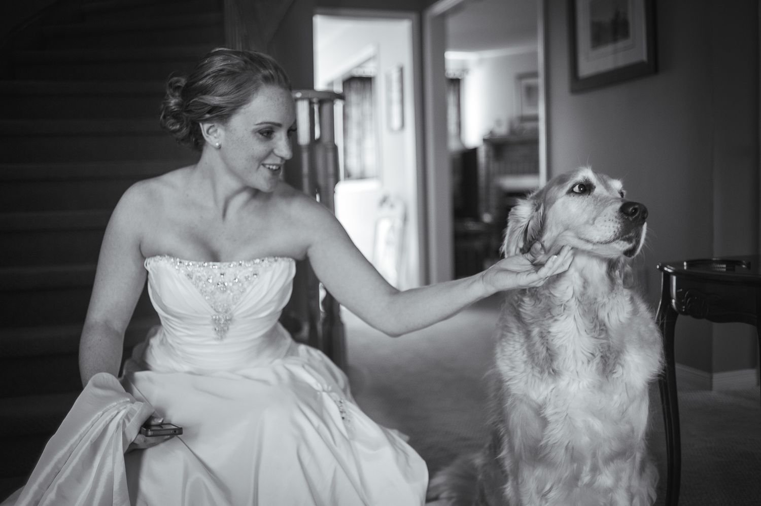 A touching black and white moment between a bride in a strapless gown and her loyal golden retriever.