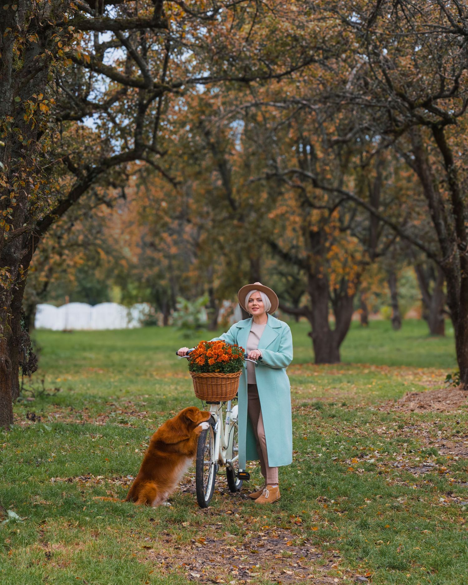 Fine art portrait of a woman with her dog and bicycle, flowers in the basket, captured during a photoshoot in a park