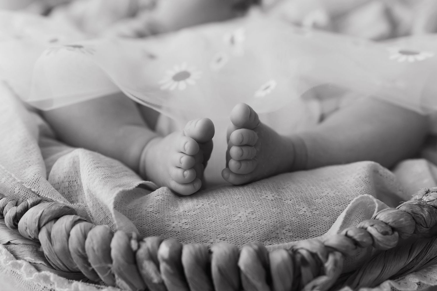 Black and white close-up photo of a newborn baby's tiny feet resting on a soft blanket in a wicker basket.
