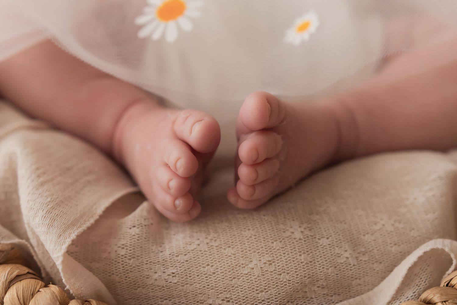 Close-up of newborn baby feet resting on burlap fabric with daisy dress in a wicker basket.