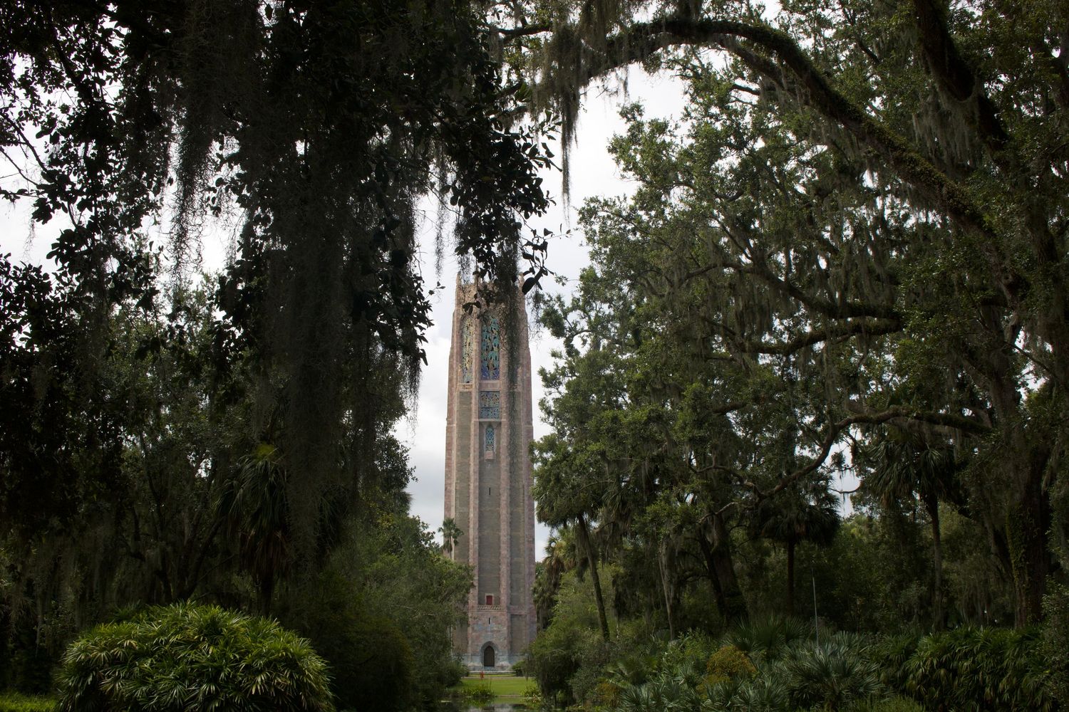 Bok Tower rising above lush green trees draped with Spanish moss in Florida garden landscape.