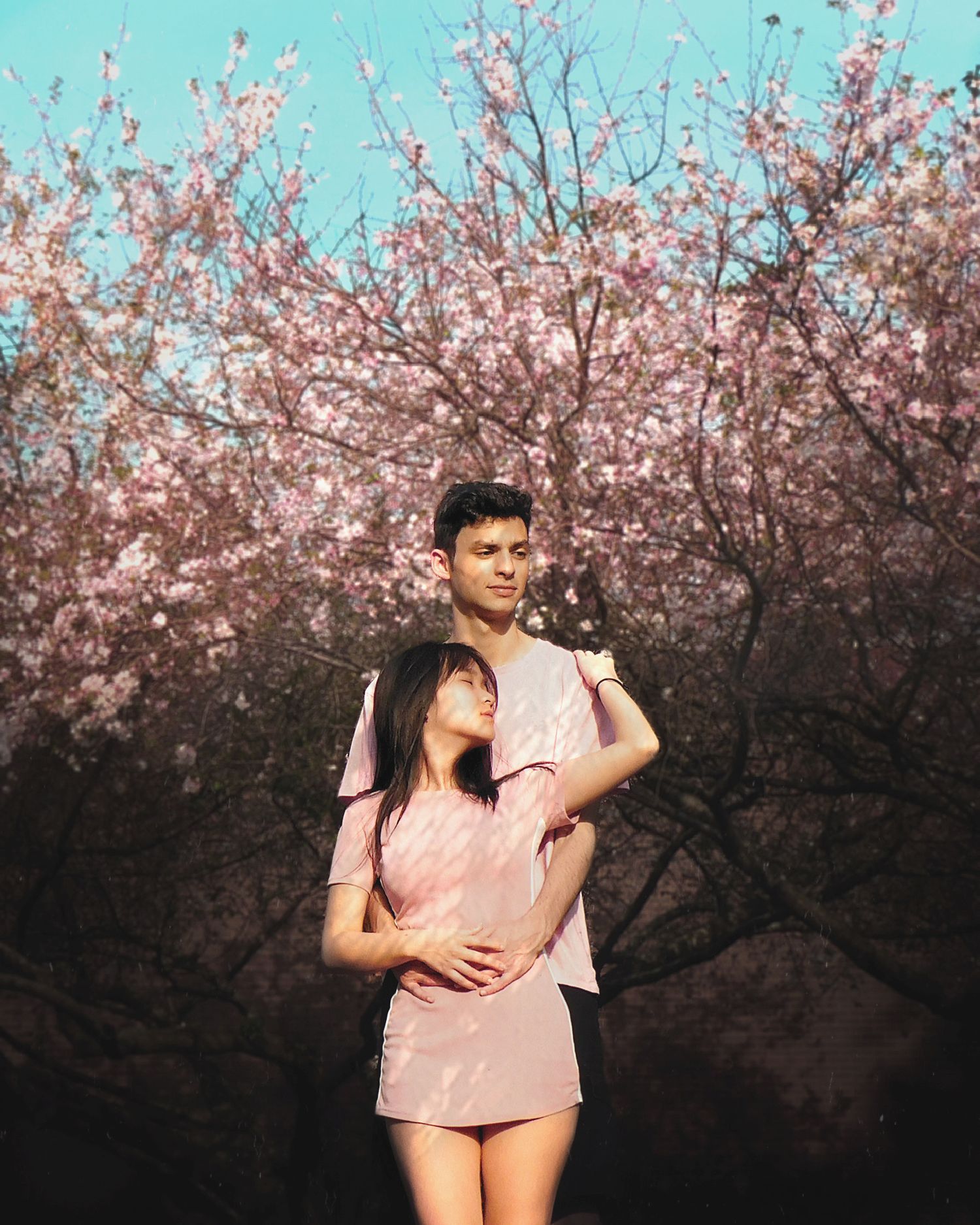 Romantic couple embracing in front of blooming pink cherry blossom trees in soft natural light.
