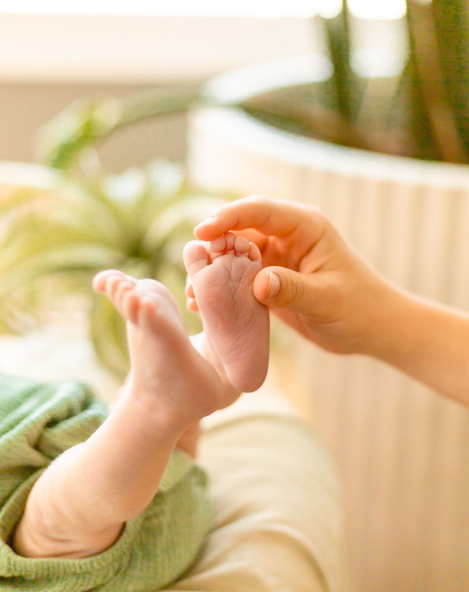 Newborn Photography with a timeless, minimal, bright and crisp approach. Greenery. Plants. Nursery.