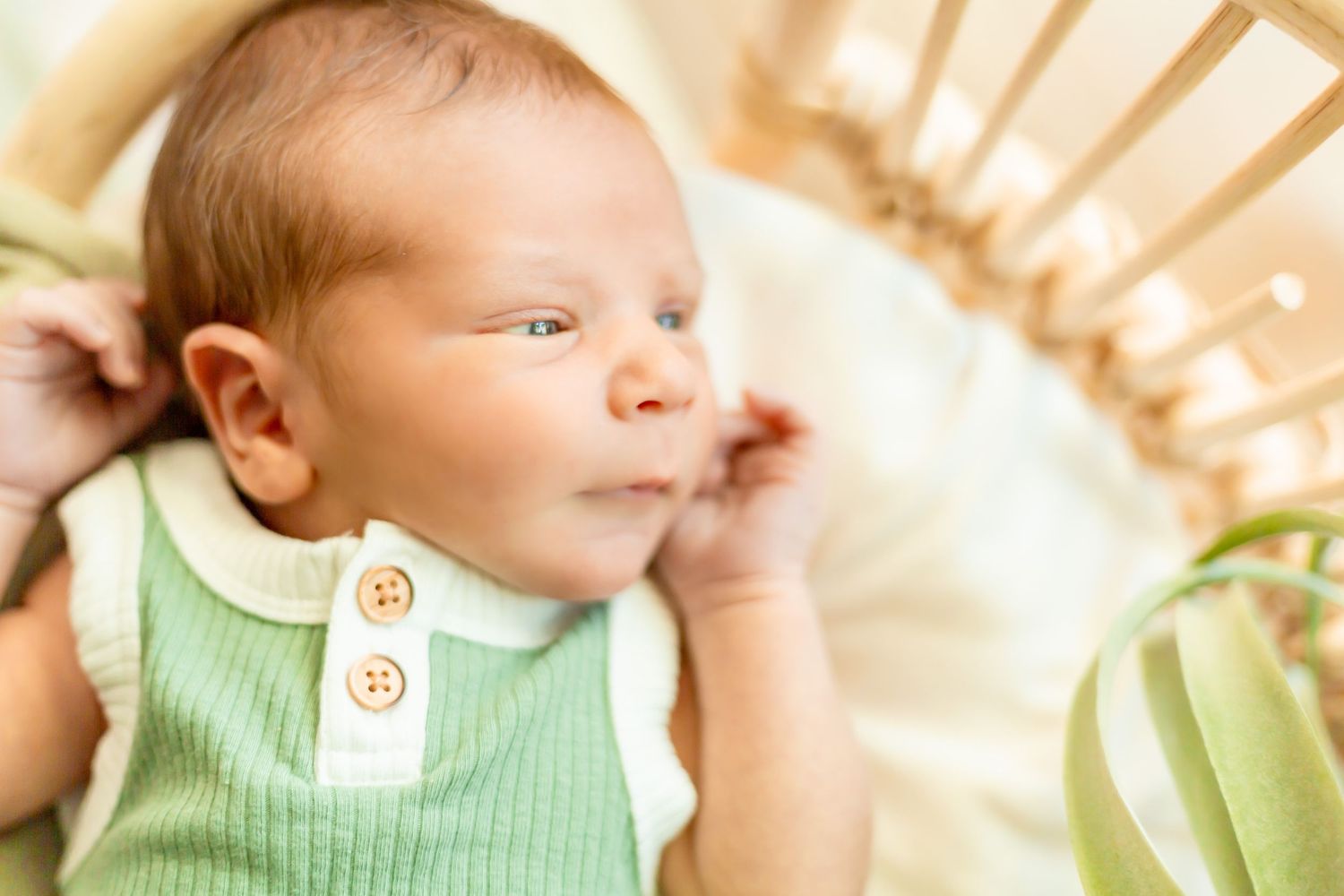 Newborn Photography with a timeless, minimal, bright and crisp approach. Greenery. Plants. Nursery.