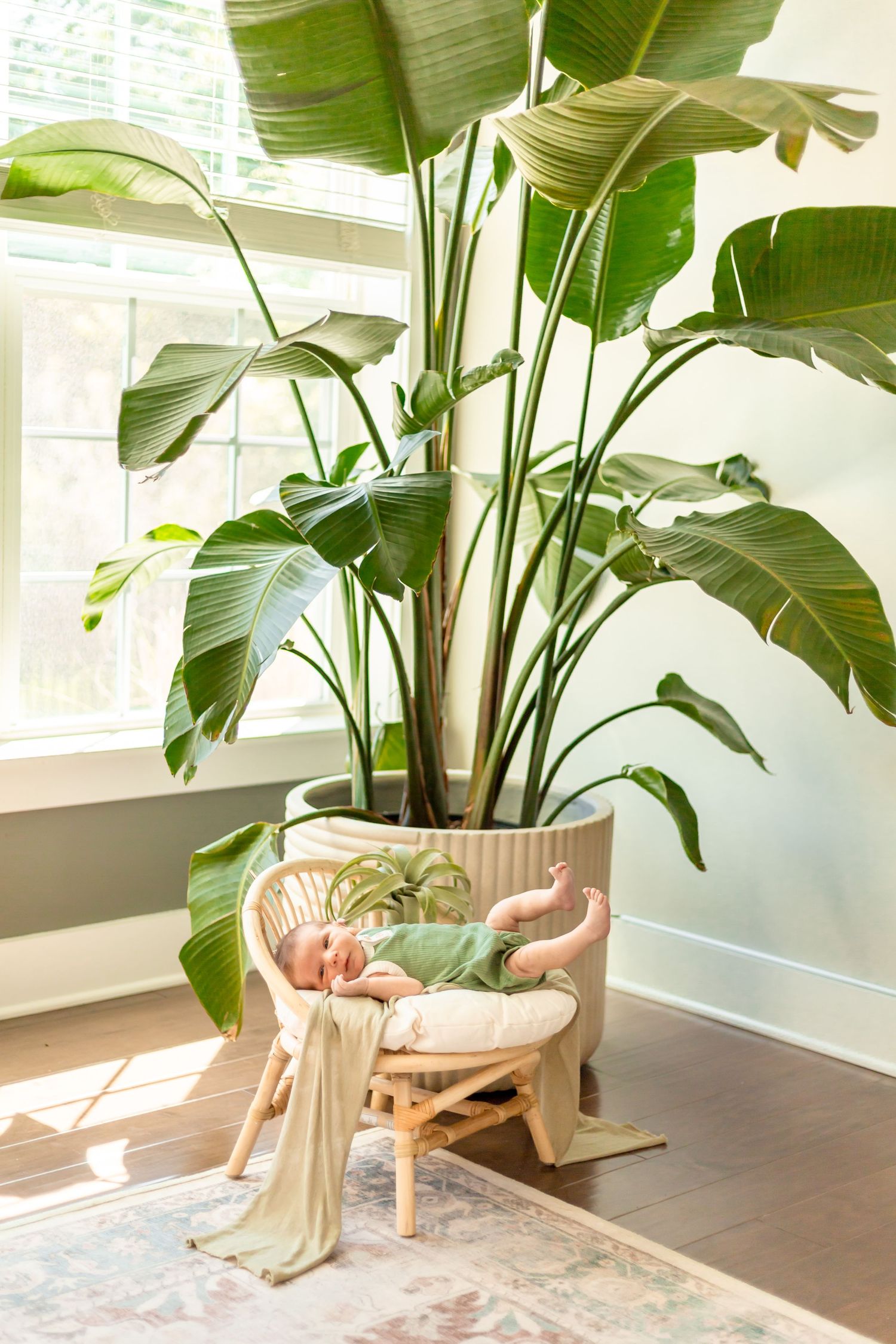 Newborn Photography with a timeless, minimal, bright and crisp approach. Greenery. Plants. Nursery.