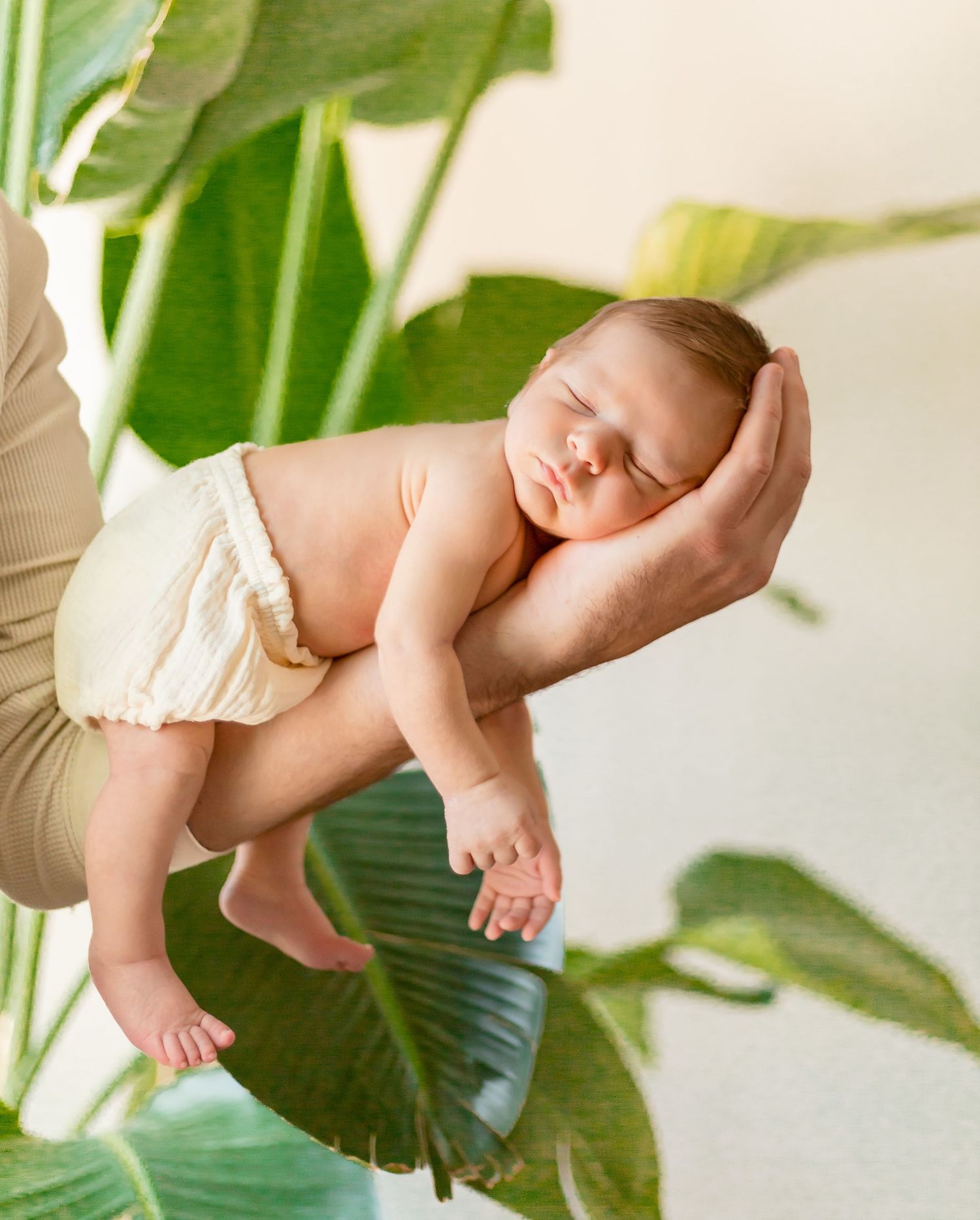 Newborn Photography with a timeless, minimal, bright and crisp approach. Greenery. Plants. Nursery.
