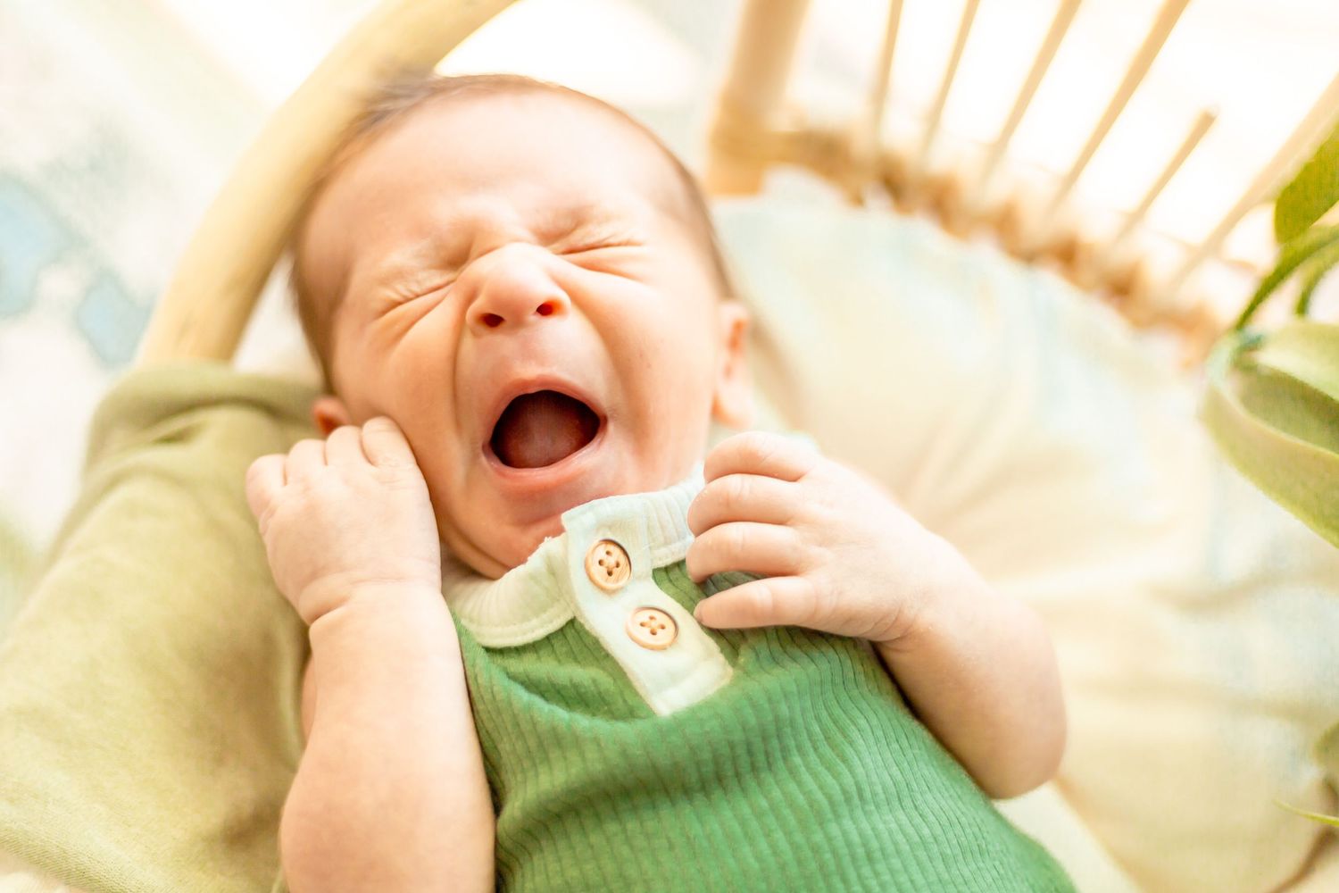 Newborn Photography with a timeless, minimal, bright and crisp approach. Greenery. Plants. Nursery.