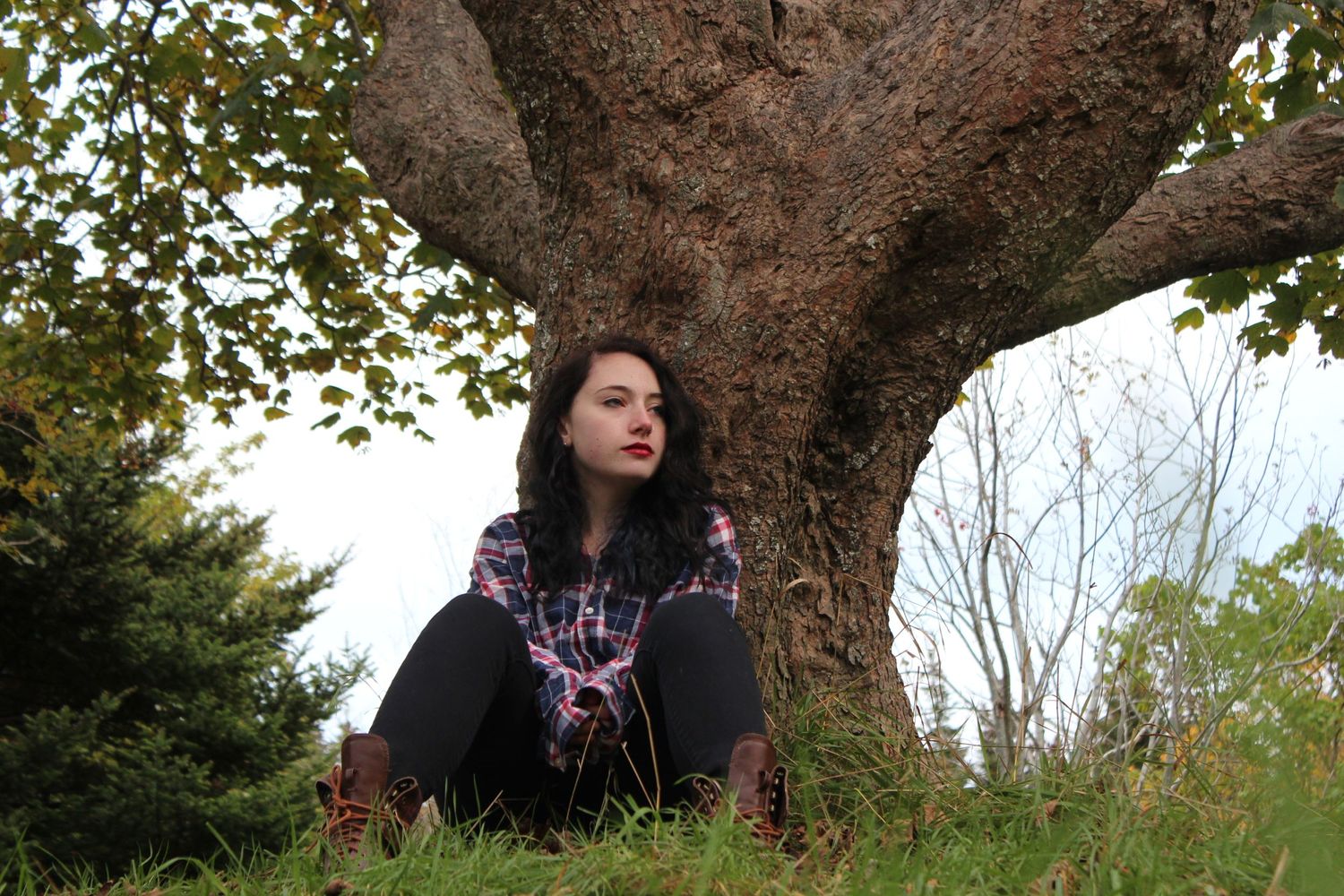 Person relaxes on thick tree branches in a wooded outdoor setting.