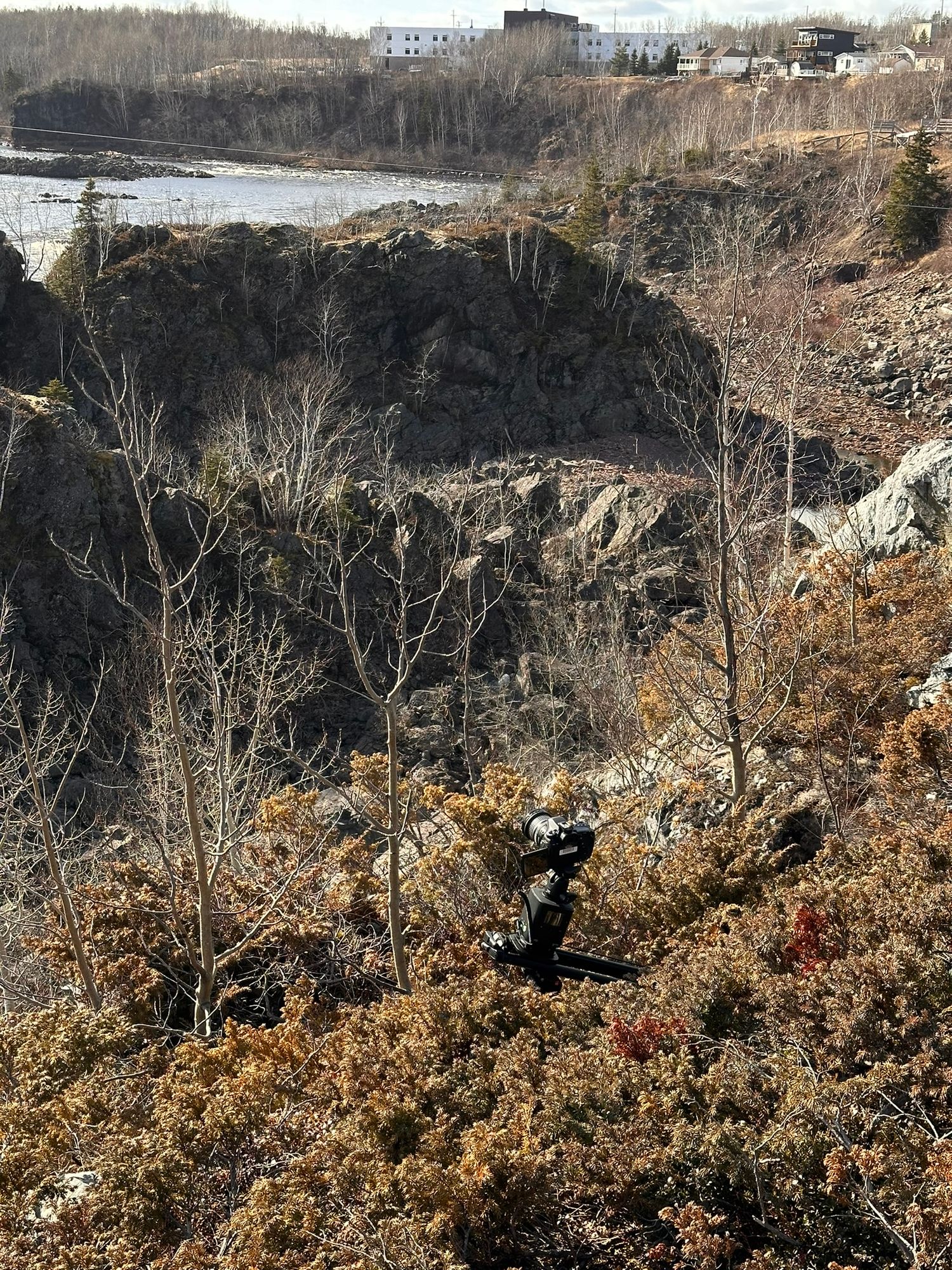 Panoramic winter landscape view of rocky cliffs and bare trees.