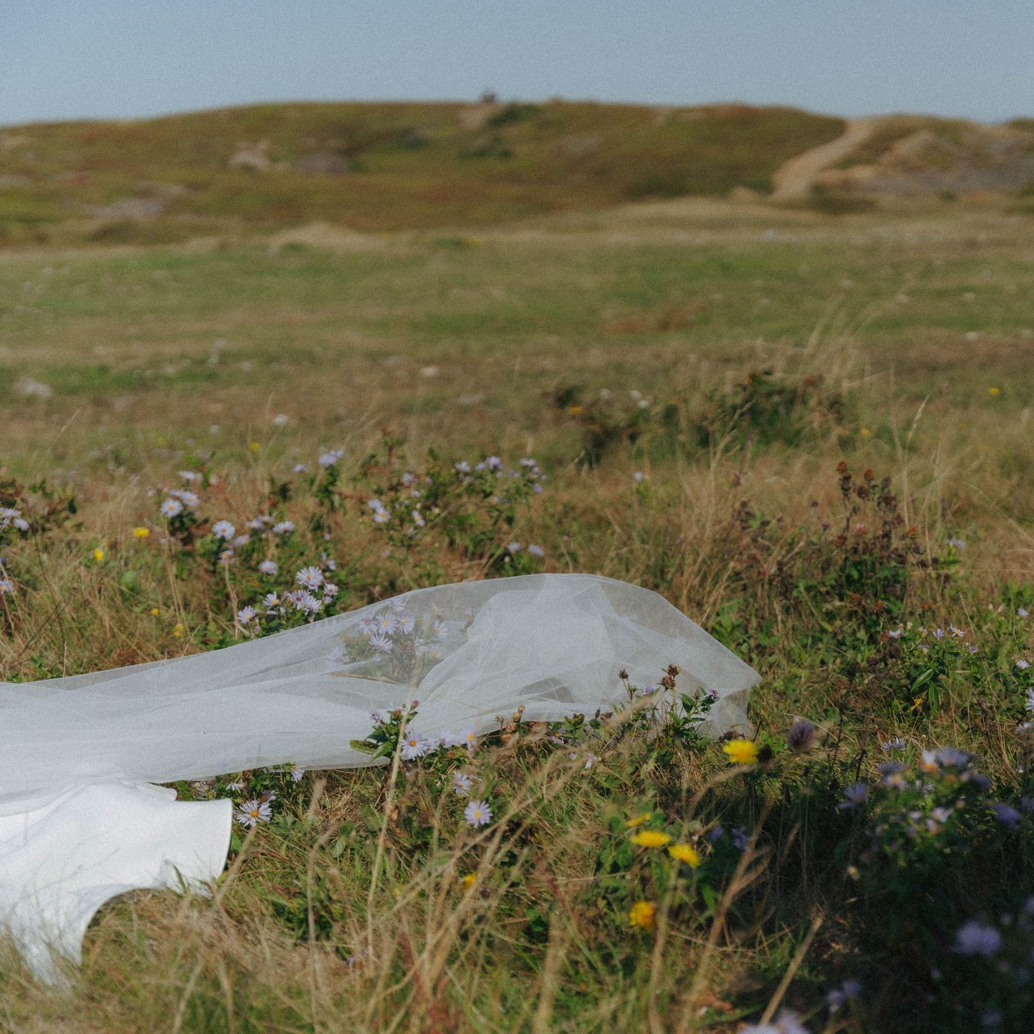 A winding dirt path through coastal grasslands with wildflowers under a bright blue sky.