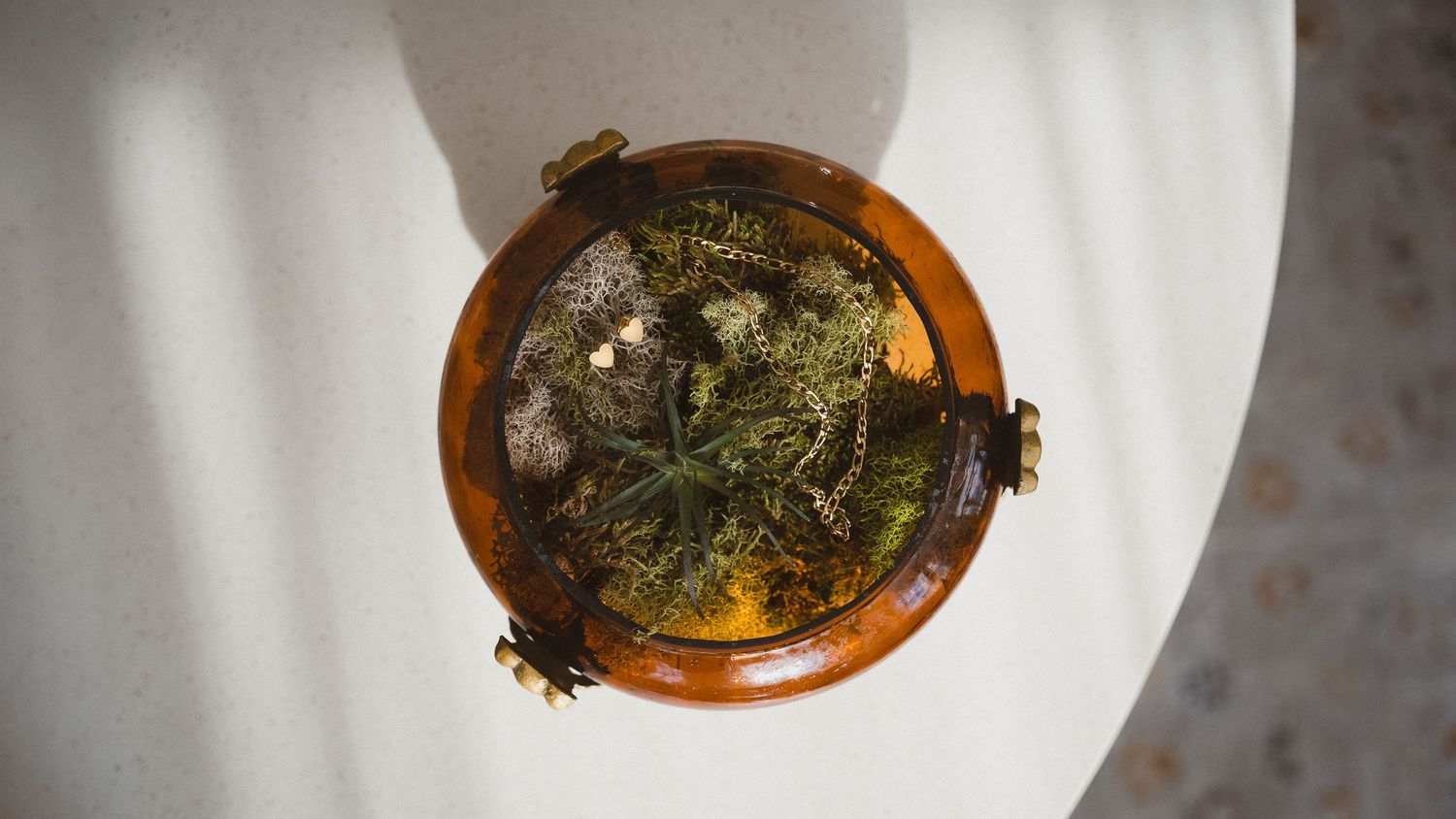 Aerial view of a round wooden bowl filled with lush green moss and small plants on a white surface.