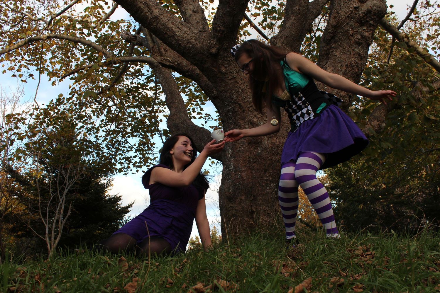 Someone wearing striped socks lounges in a large tree's branches during autumn.