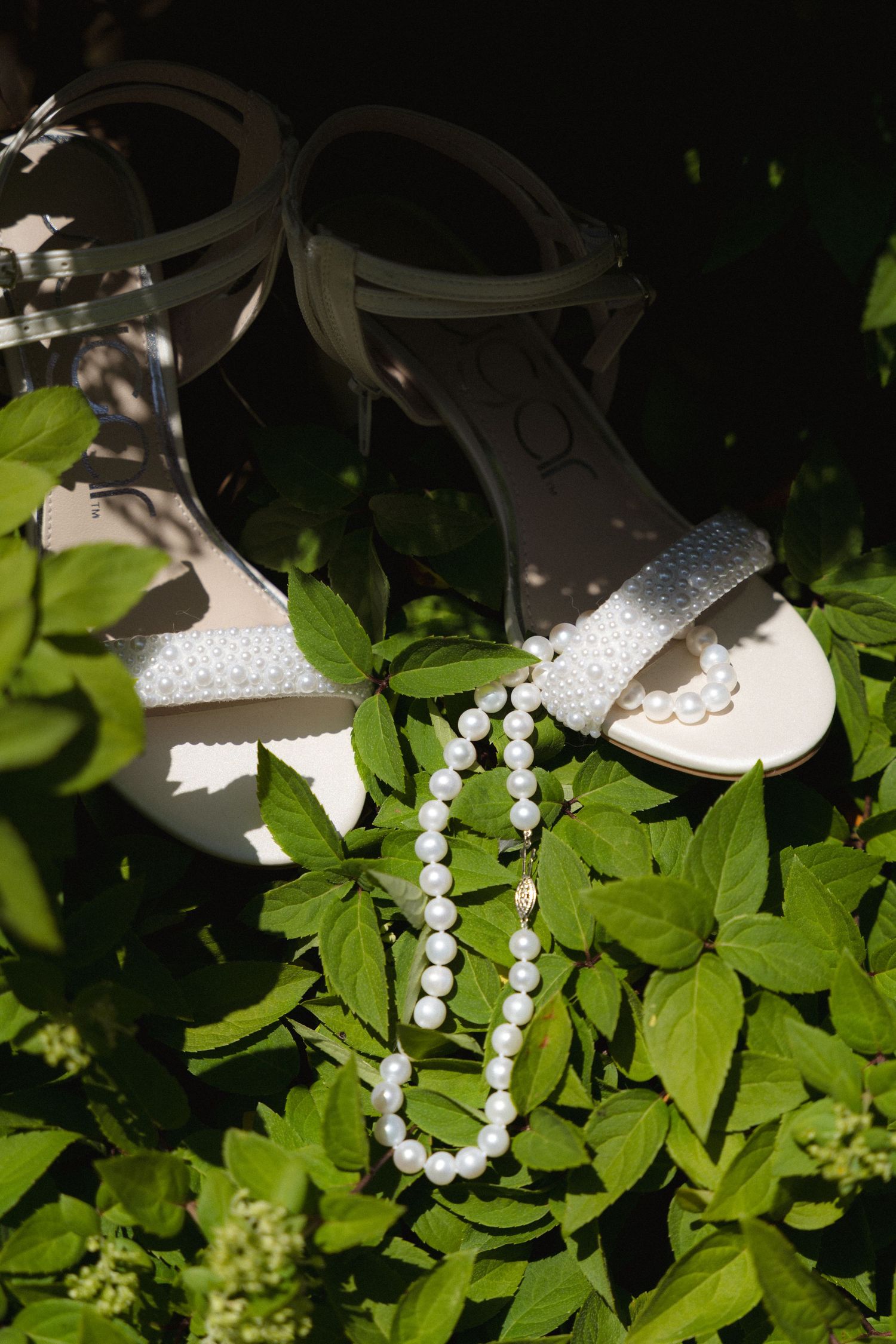 A string of white beaded jewelry or decorative item hangs among green foliage in a garden setting.