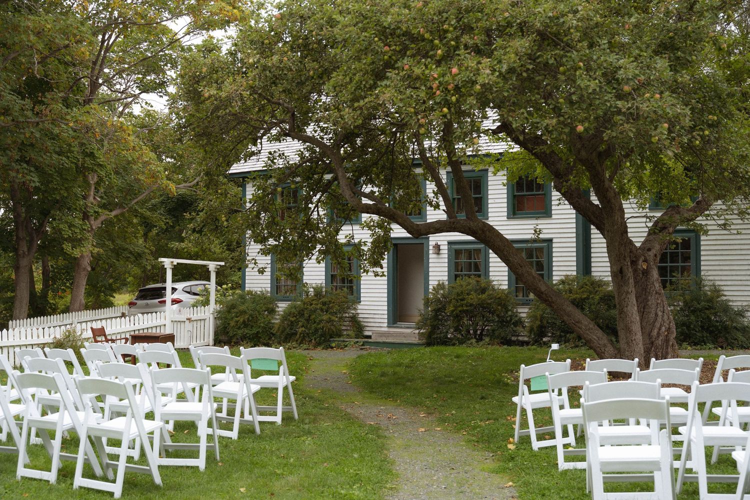 White wooden chairs arranged in rows on a grassy lawn for an outdoor wedding ceremony under shady trees.