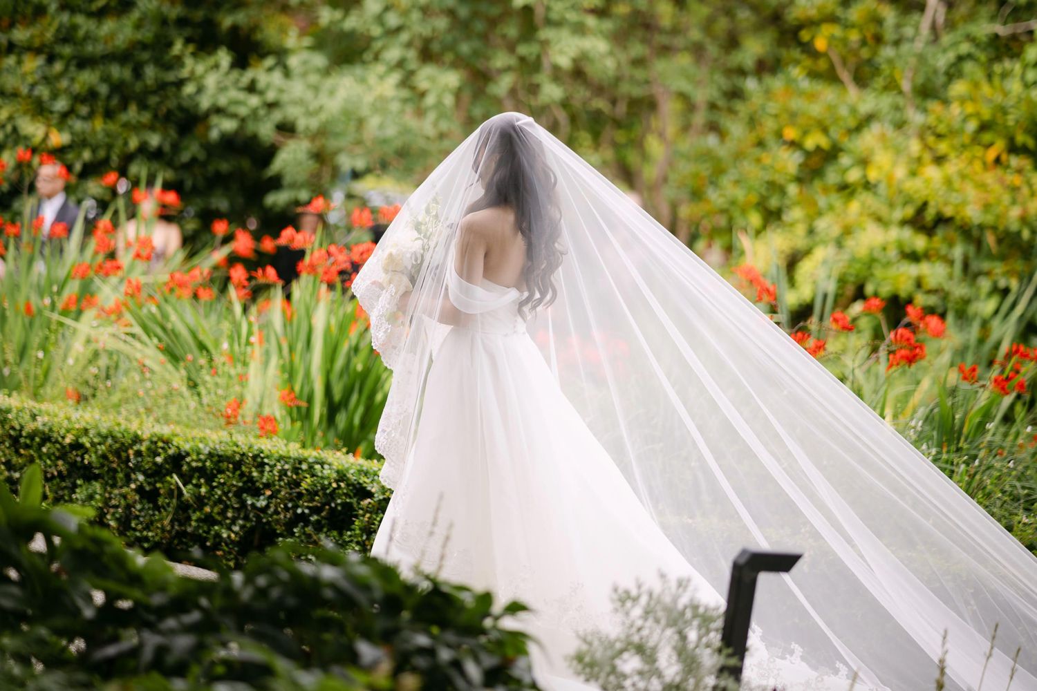 Bride in white gown and flowing veil stands in lush garden with red flowers and green hedges.