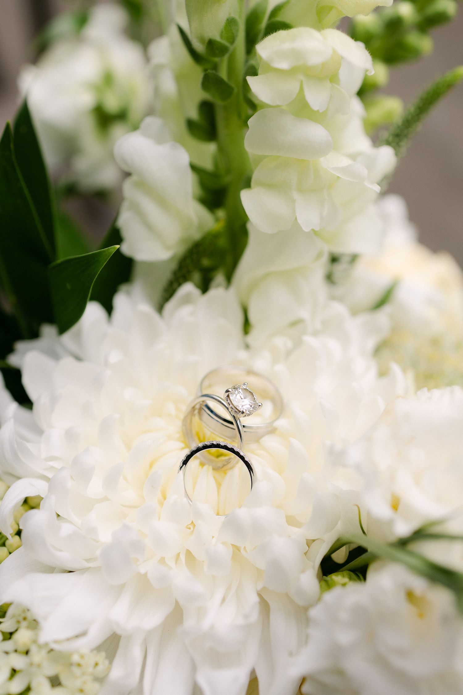 Wedding rings rest on white chrysanthemums and snapdragons in an elegant bridal bouquet arrangement.