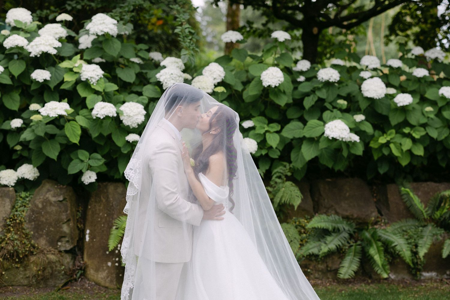 A bride and groom share a romantic kiss under a flowing veil, surrounded by lush white hydrangeas in a garden setting.