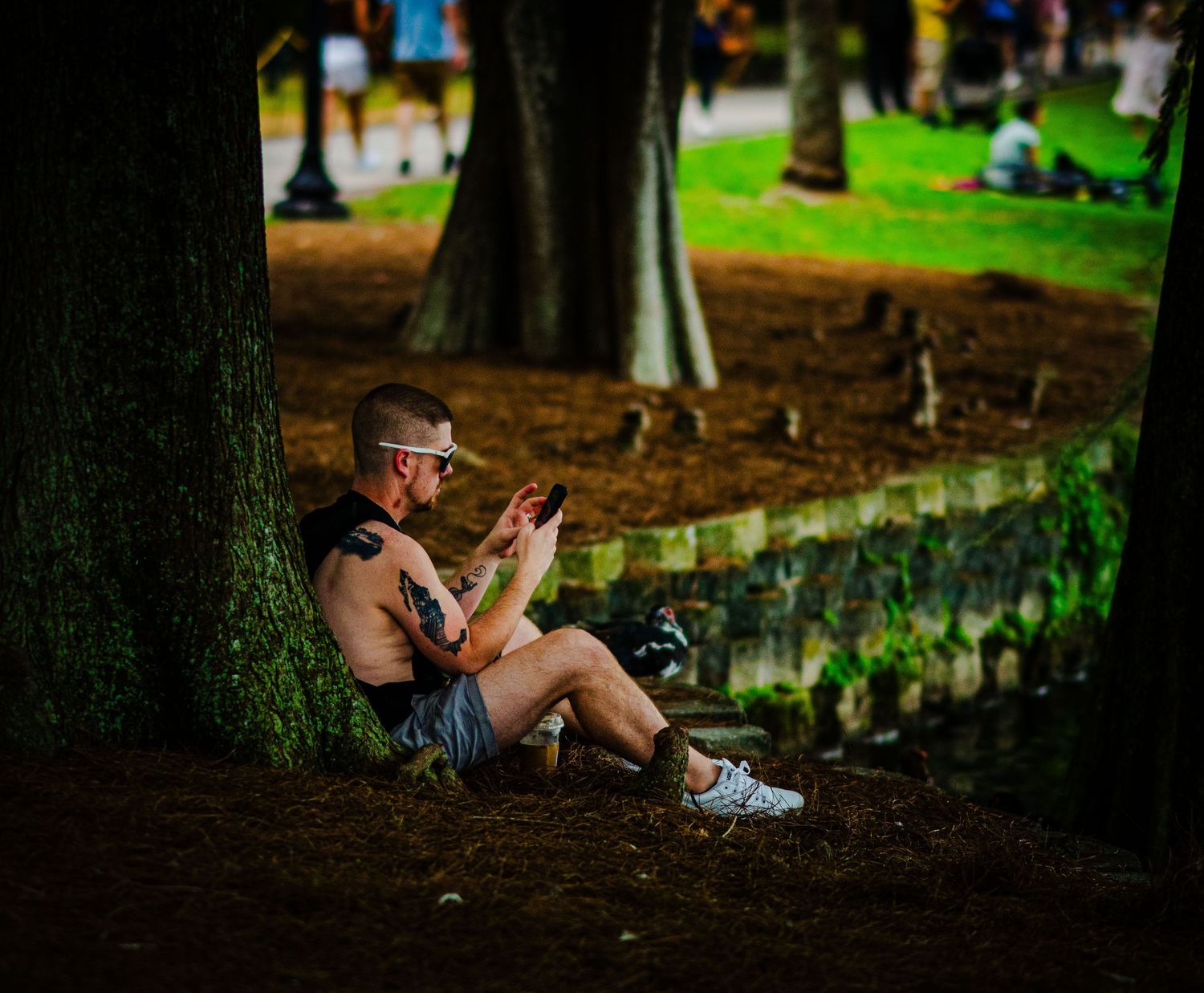 Man sitting against tree in park using smartphone, wearing shorts and white sneakers on sunny day.