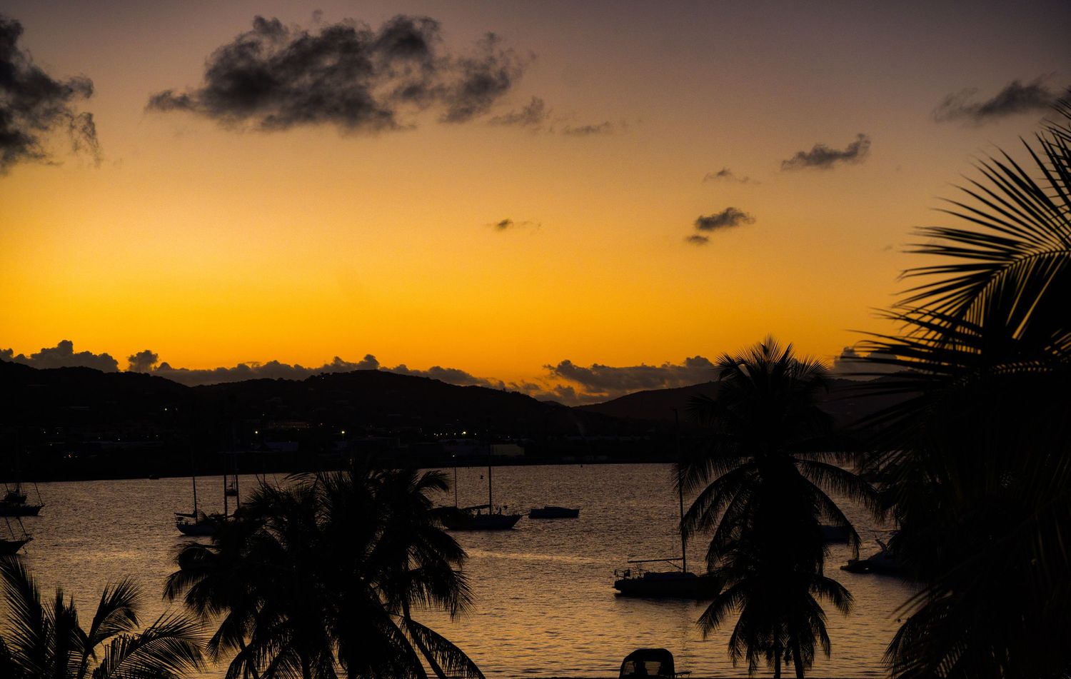 Dramatic sunset silhouettes palm trees against an orange sky with boats dotting the tropical horizon.